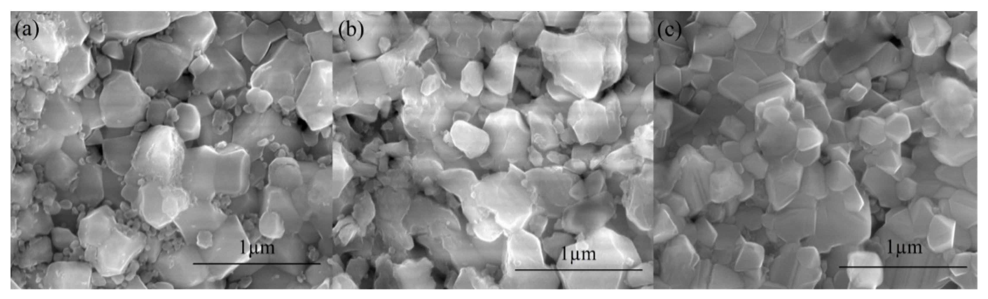 Coatings 12 00747 g003