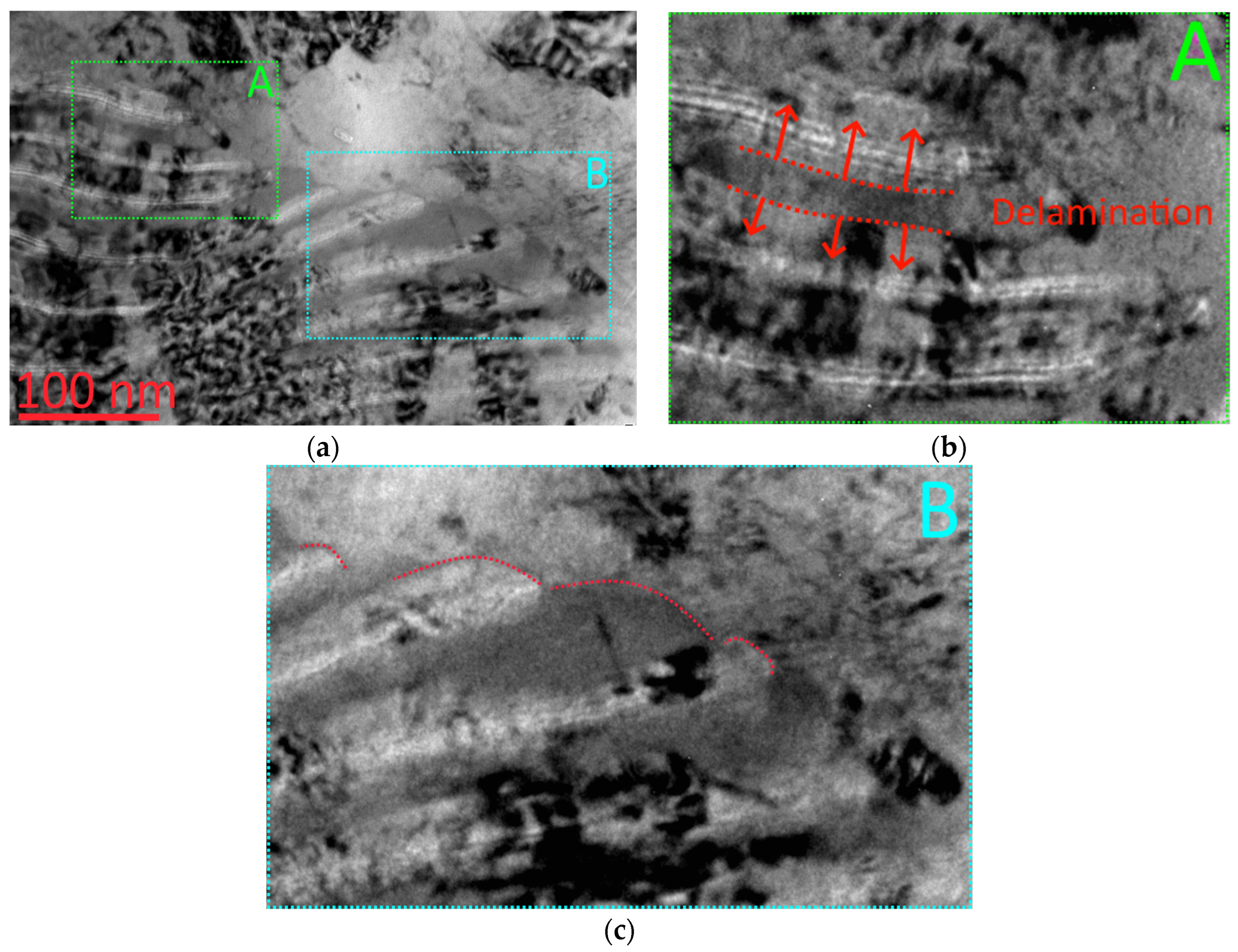 Coatings 12 00758 g007