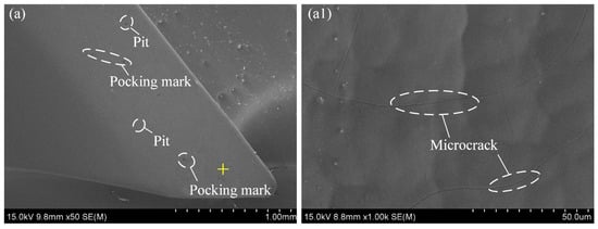 Coatings 12 00762 g005 550