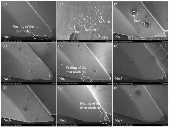 Coatings 12 00762 g007 550