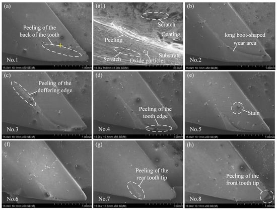 Coatings 12 00762 g008 550