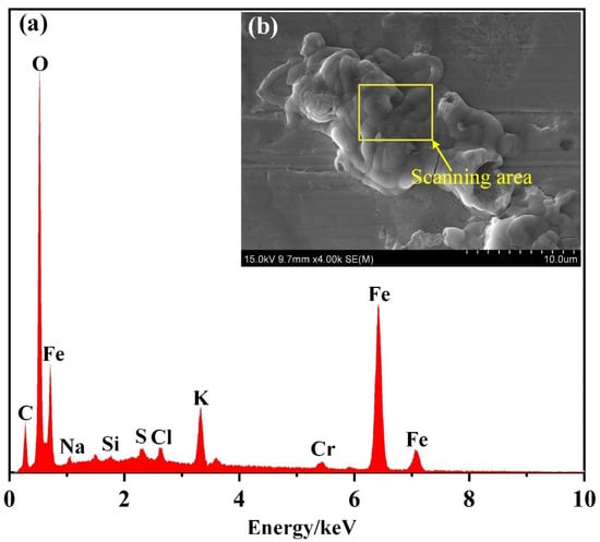 Coatings 12 00762 g009 550