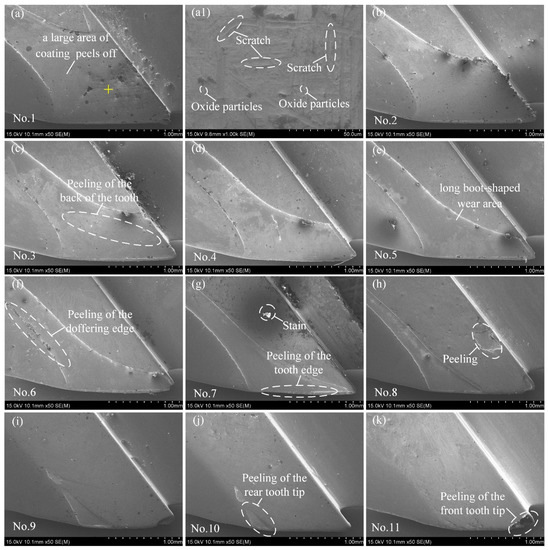 Coatings 12 00762 g010 550