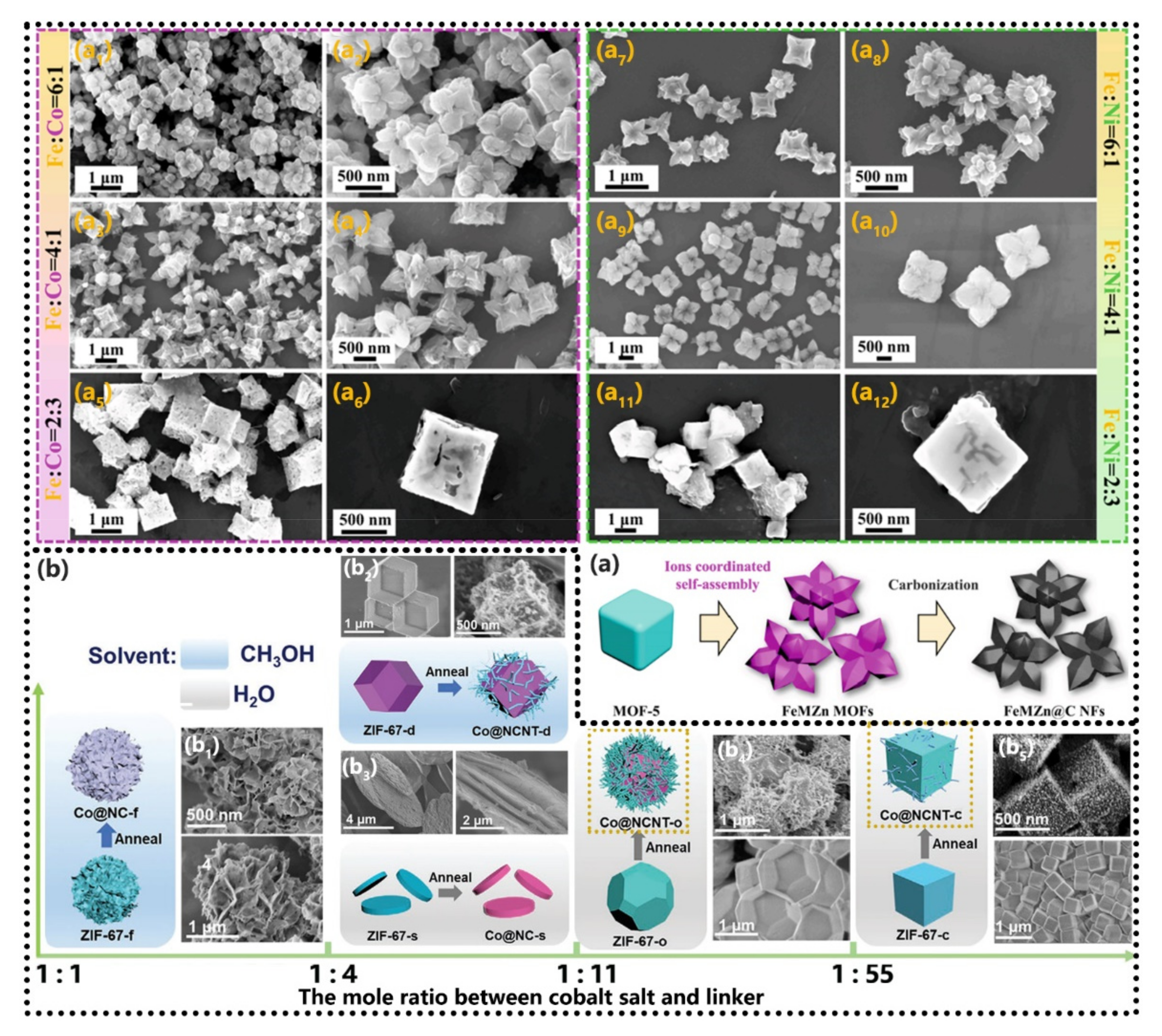 Coatings 12 00766 g014