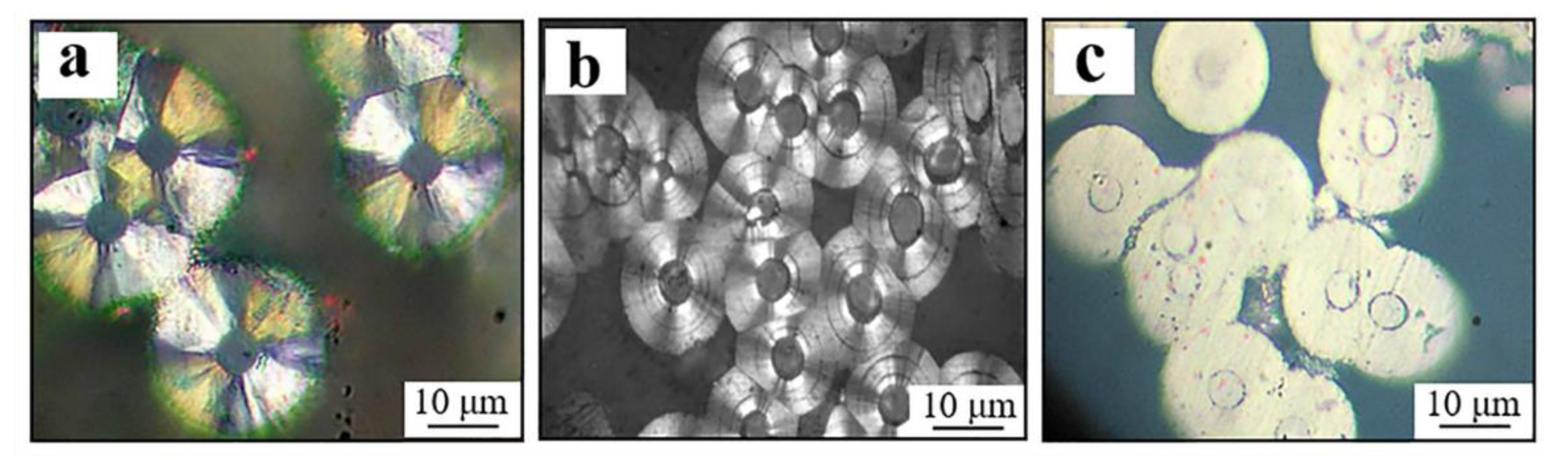 Coatings 12 00768 g004
