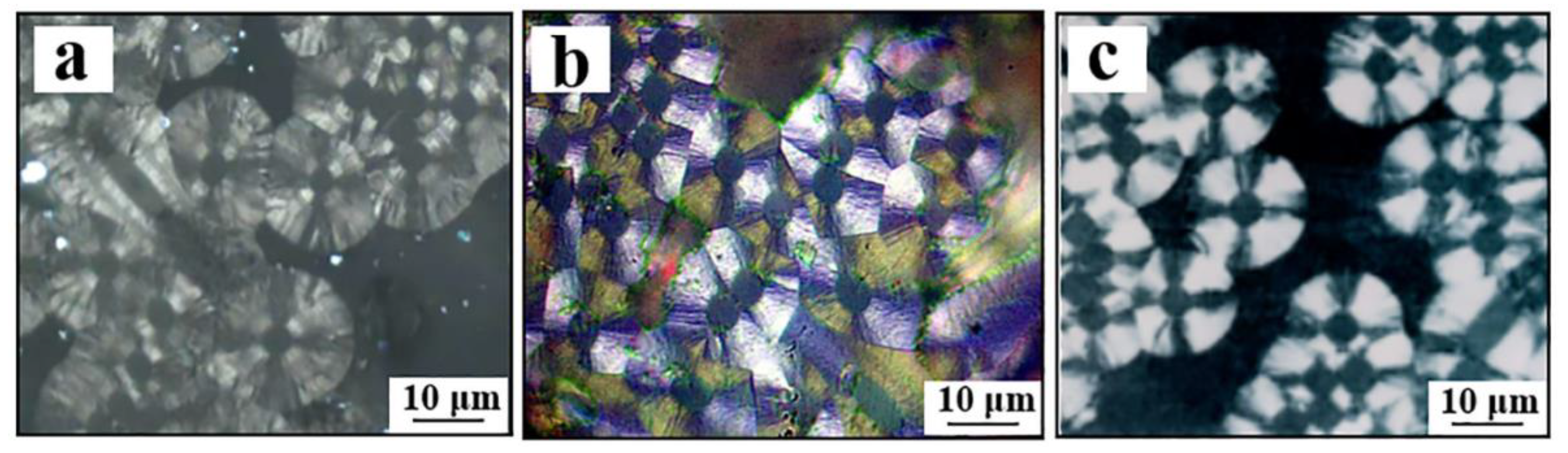 Coatings 12 00768 g005