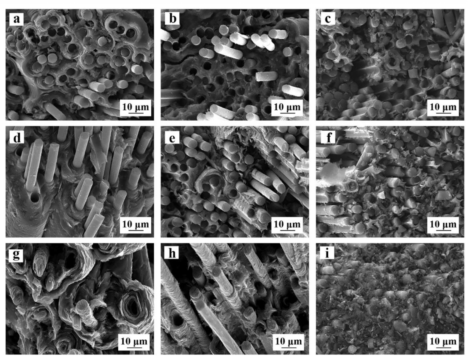 Coatings 12 00768 g006
