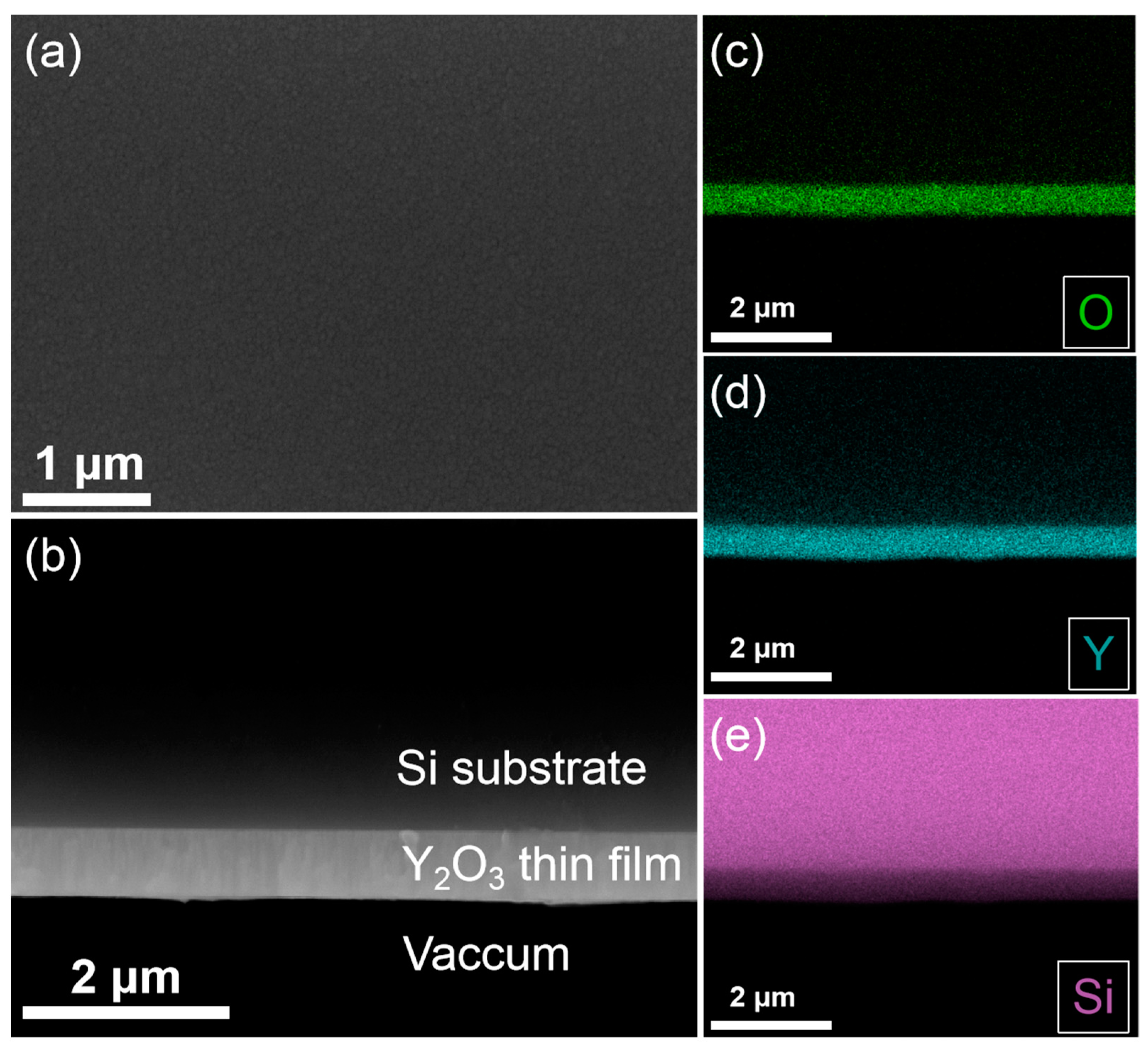 Coatings 12 00790 g001