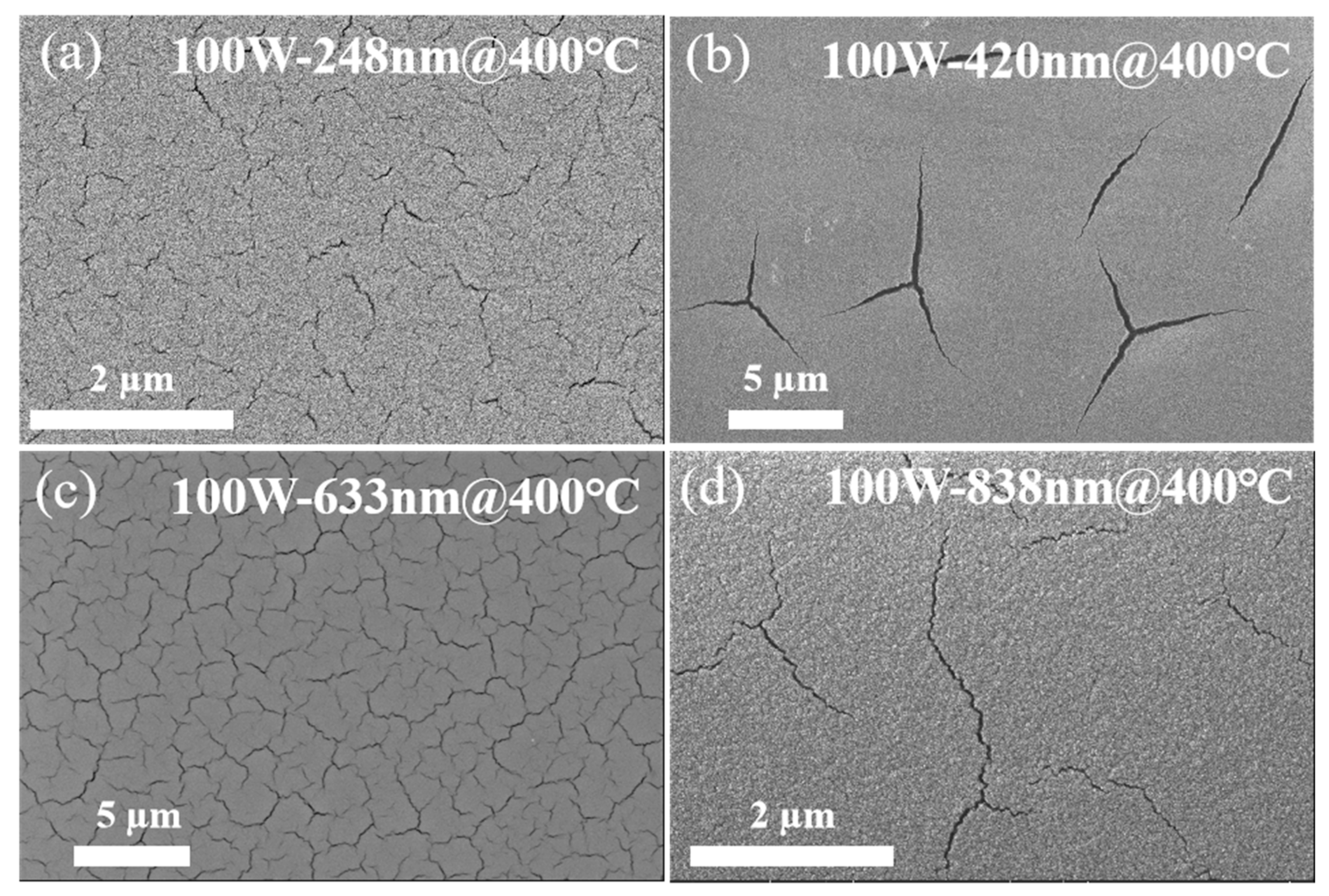 Coatings 12 00790 g005