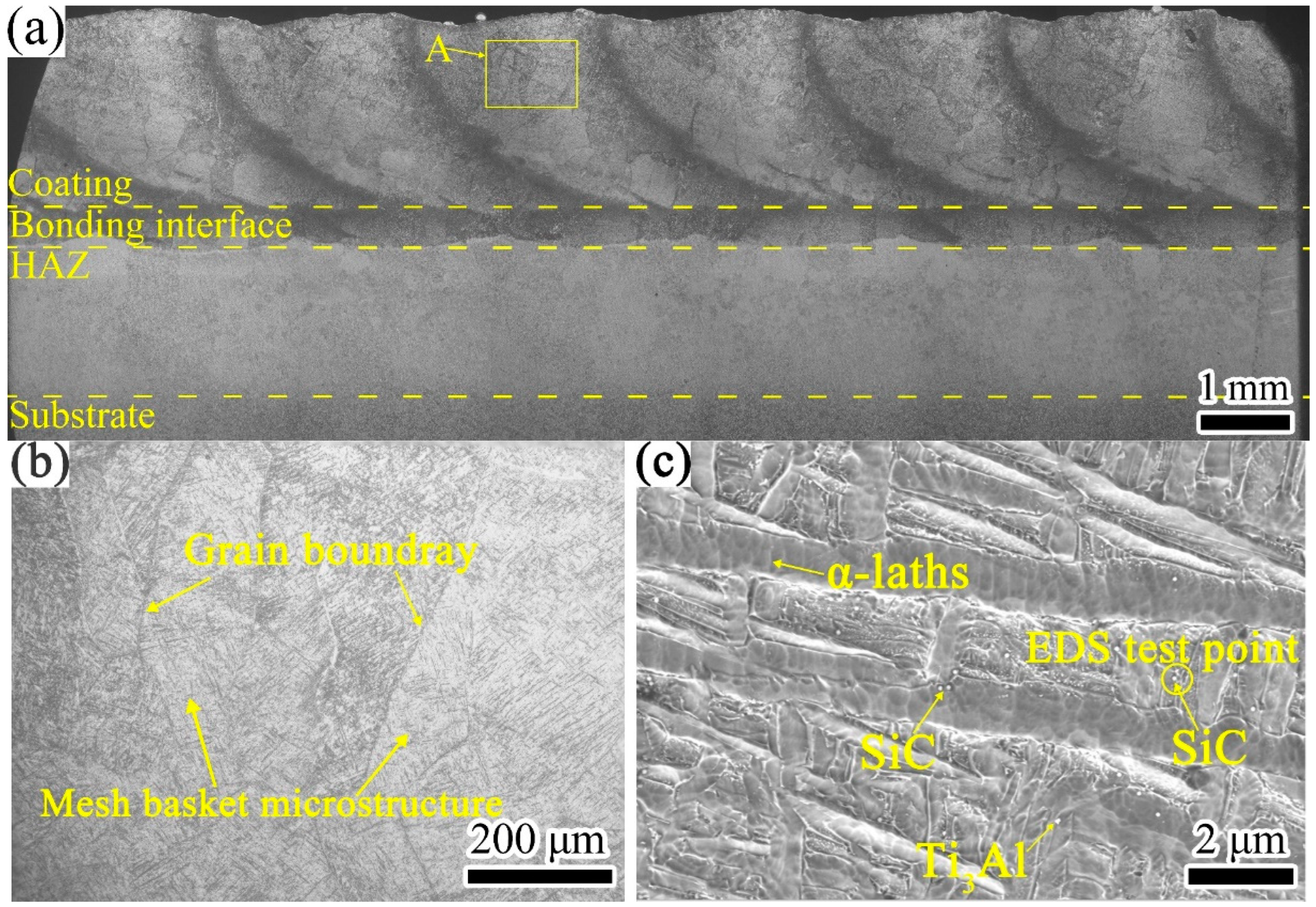 Coatings 12 00792 g004