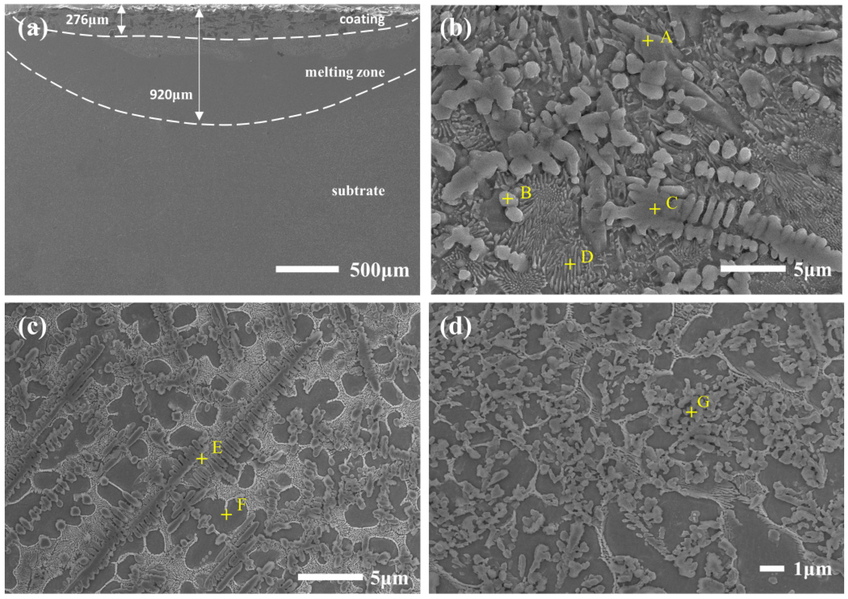 Coatings 12 00808 g006