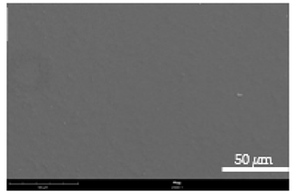 Coatings 12 00813 i007