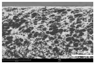 Coatings 12 00813 i015