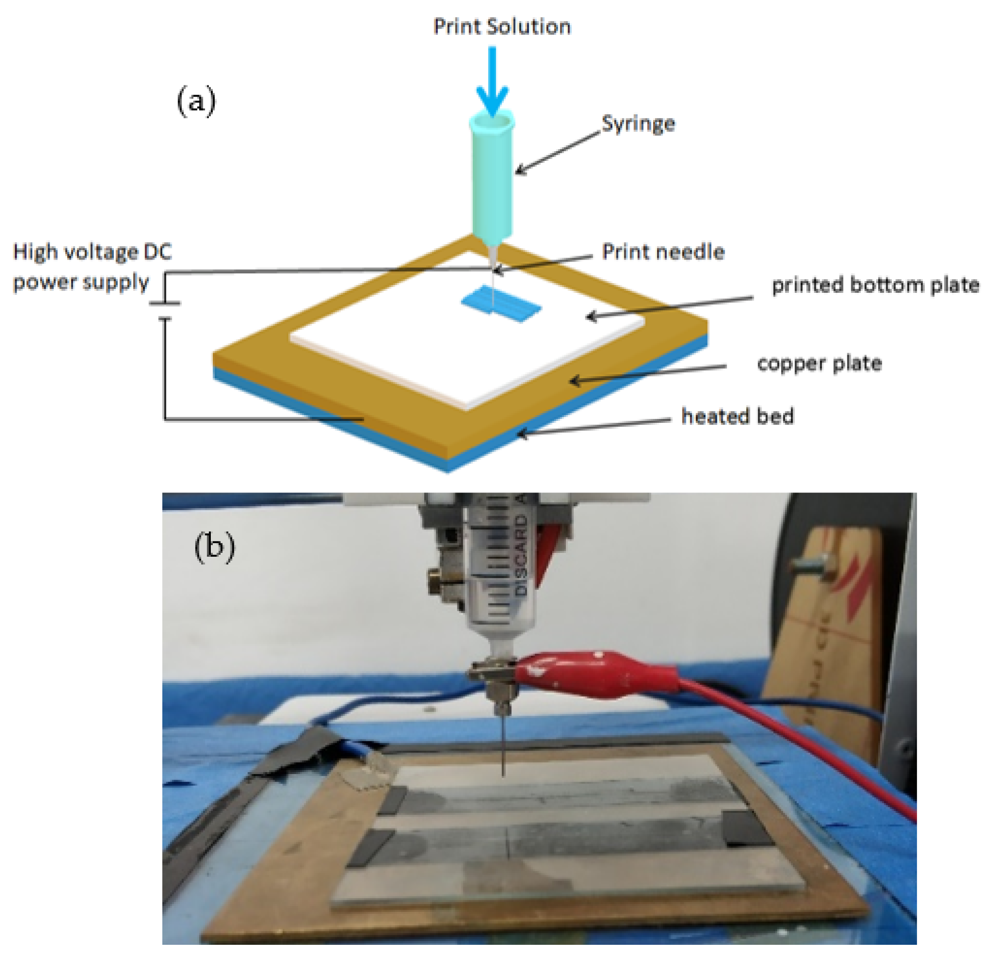 Coatings 12 00820 g001
