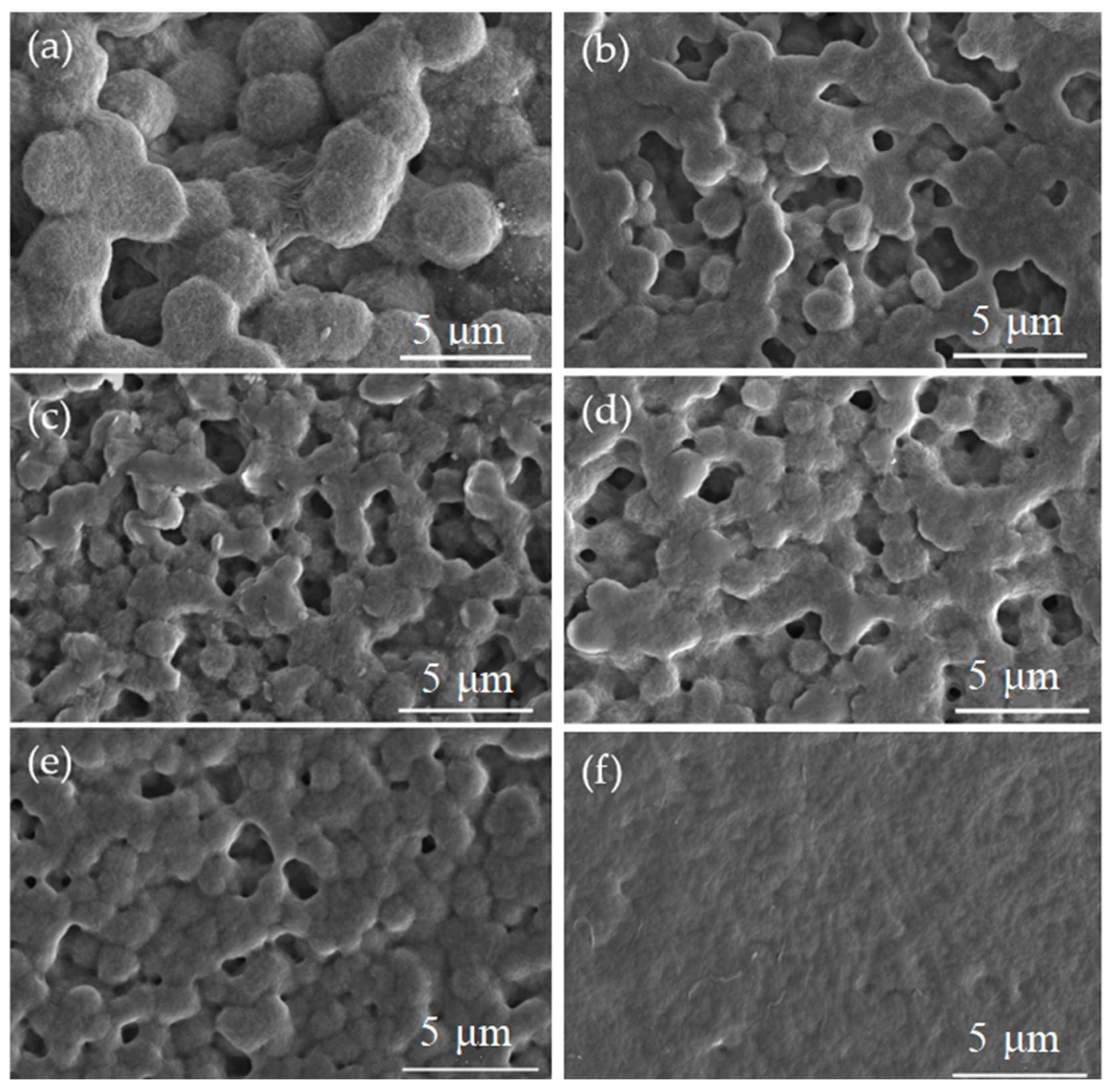 Coatings 12 00820 g003