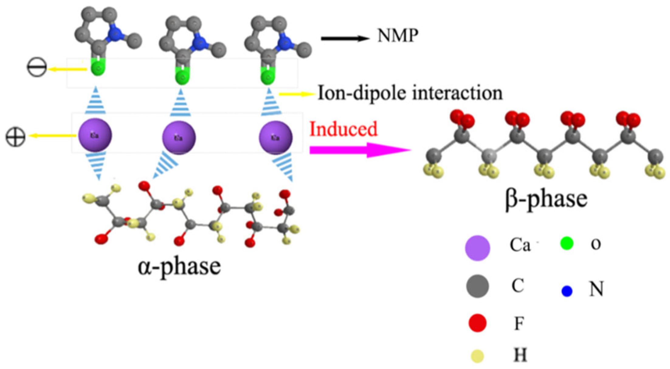 Coatings 12 00820 g006