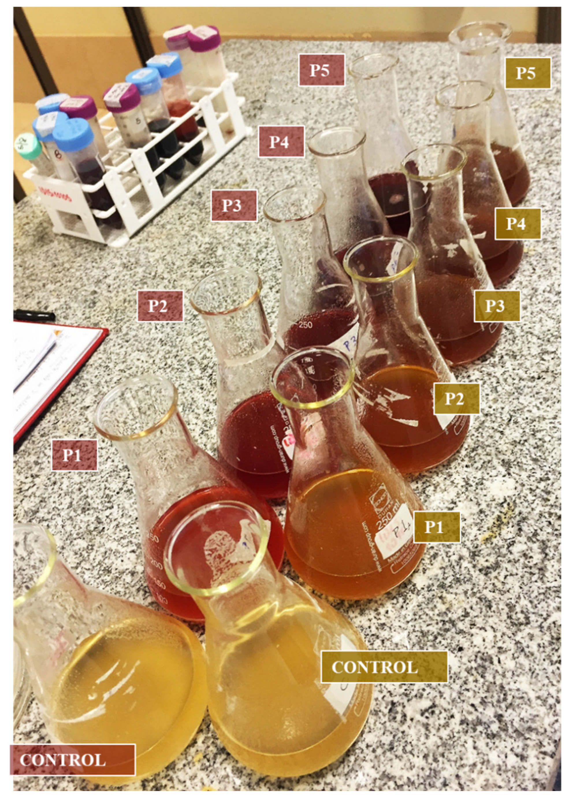 Coatings 12 00821 g001