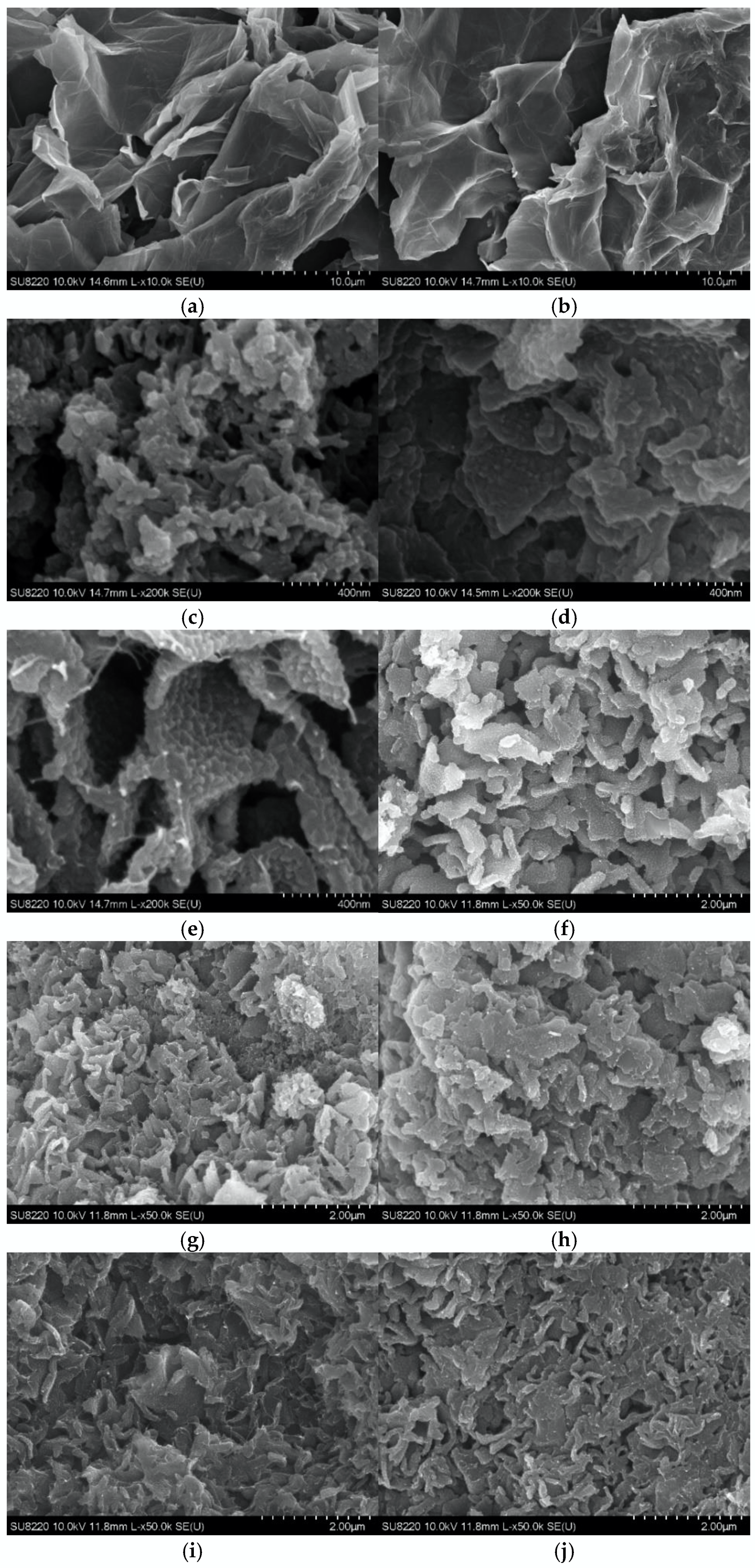 Coatings 12 00824 g001