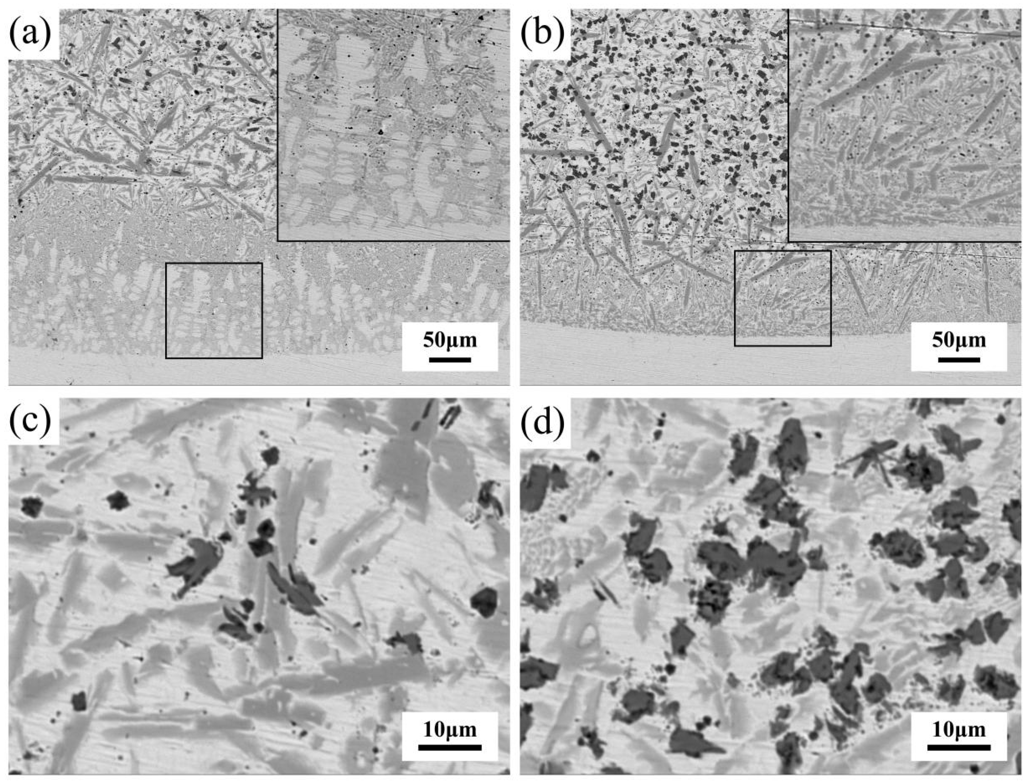 Coatings 12 00829 g006