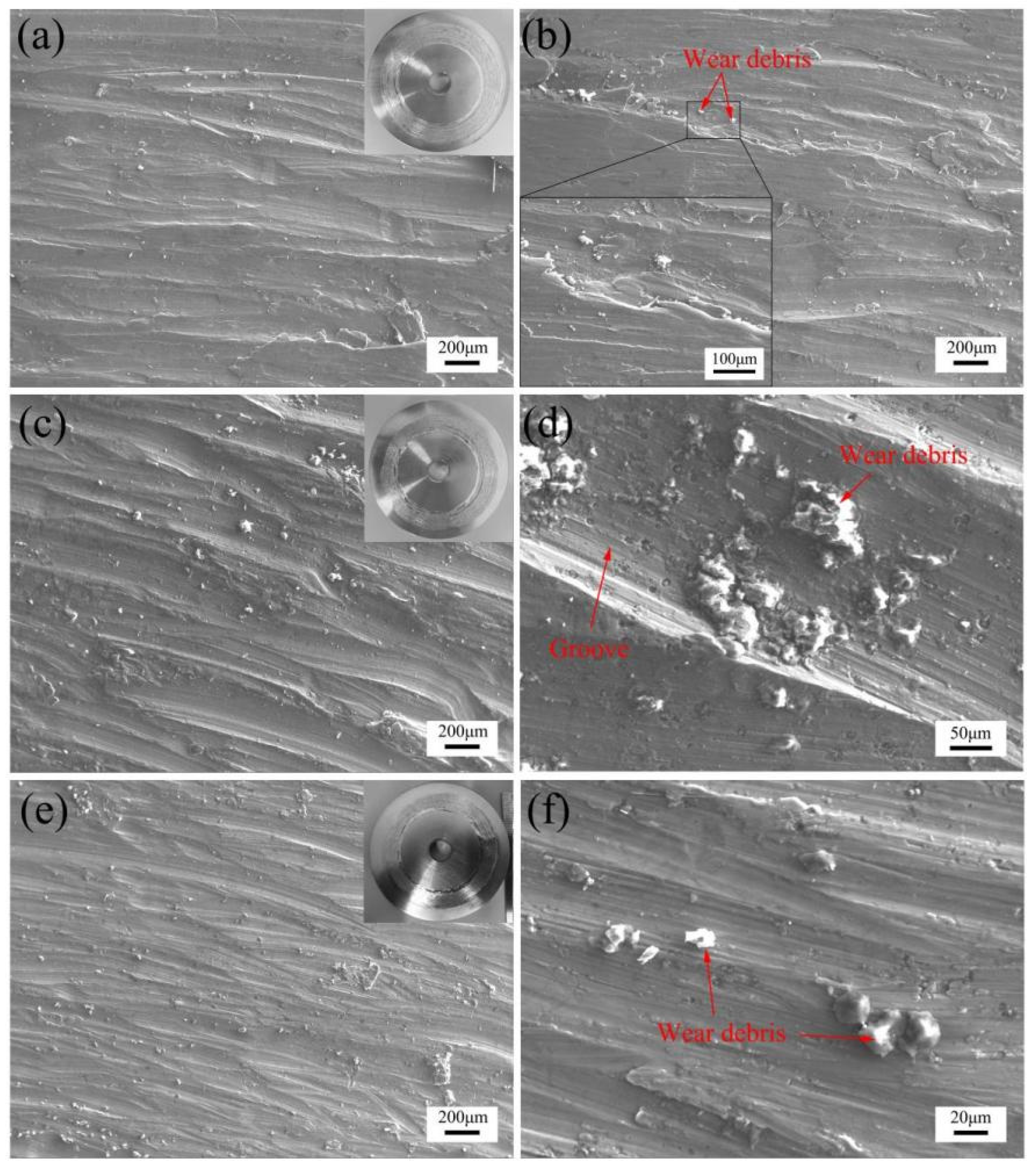 Coatings 12 00829 g016