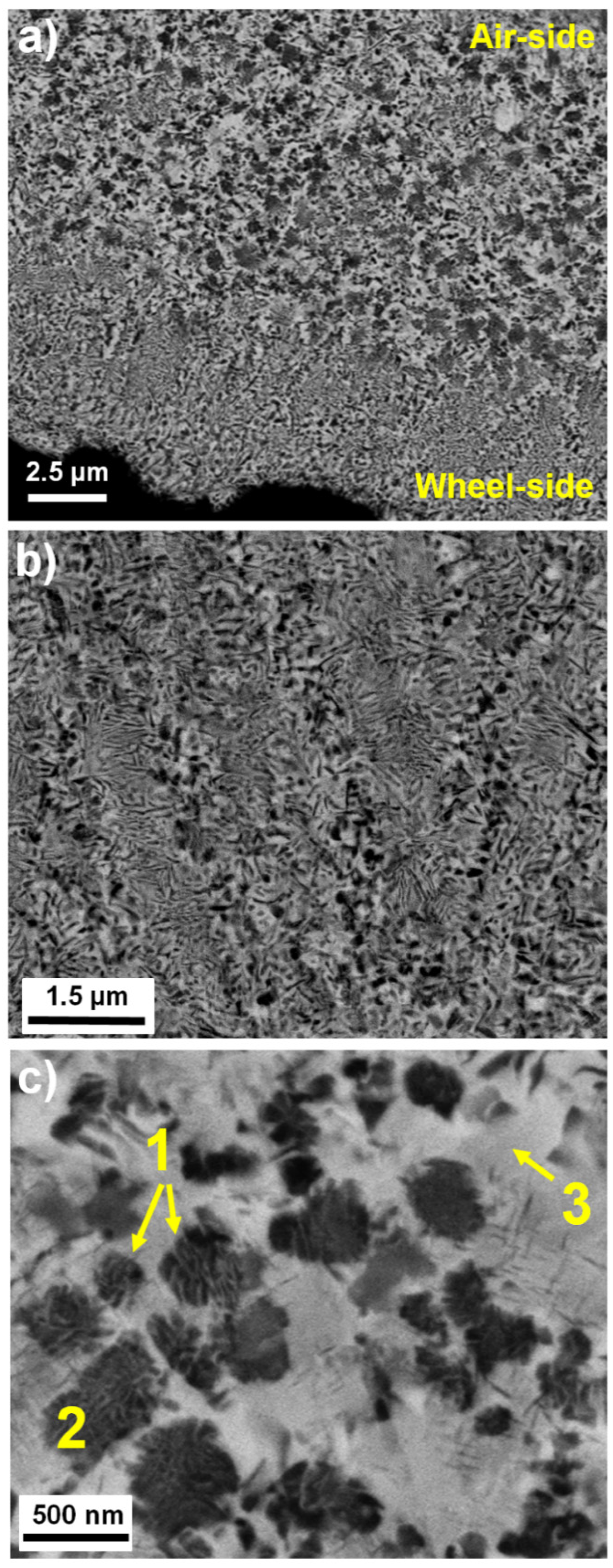Coatings 12 00831 g001