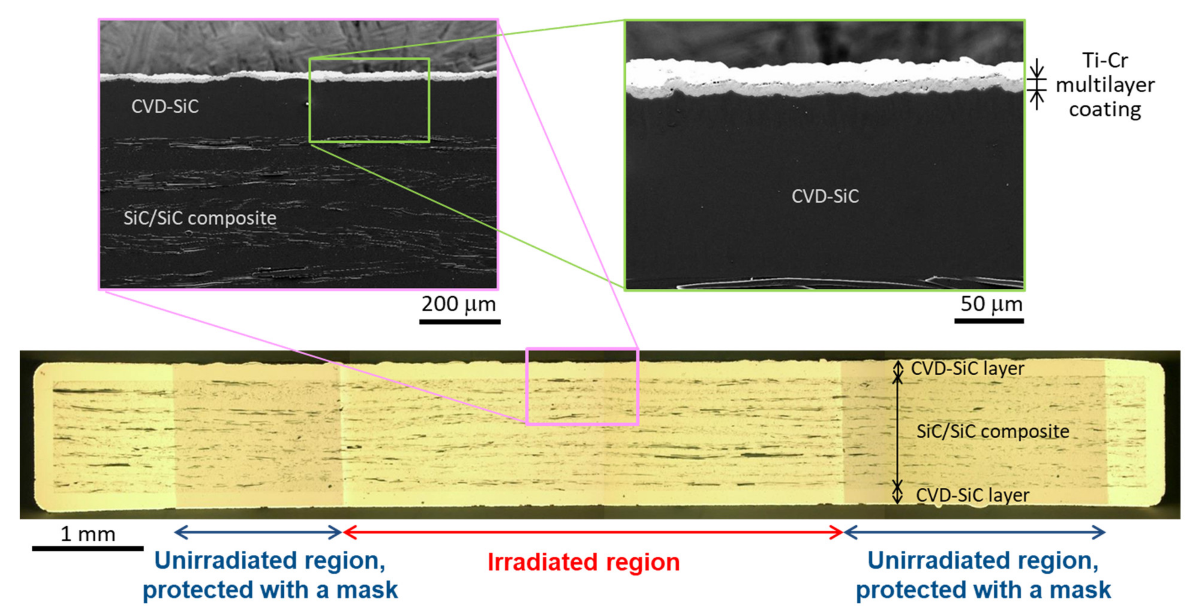 Coatings 12 00832 g005