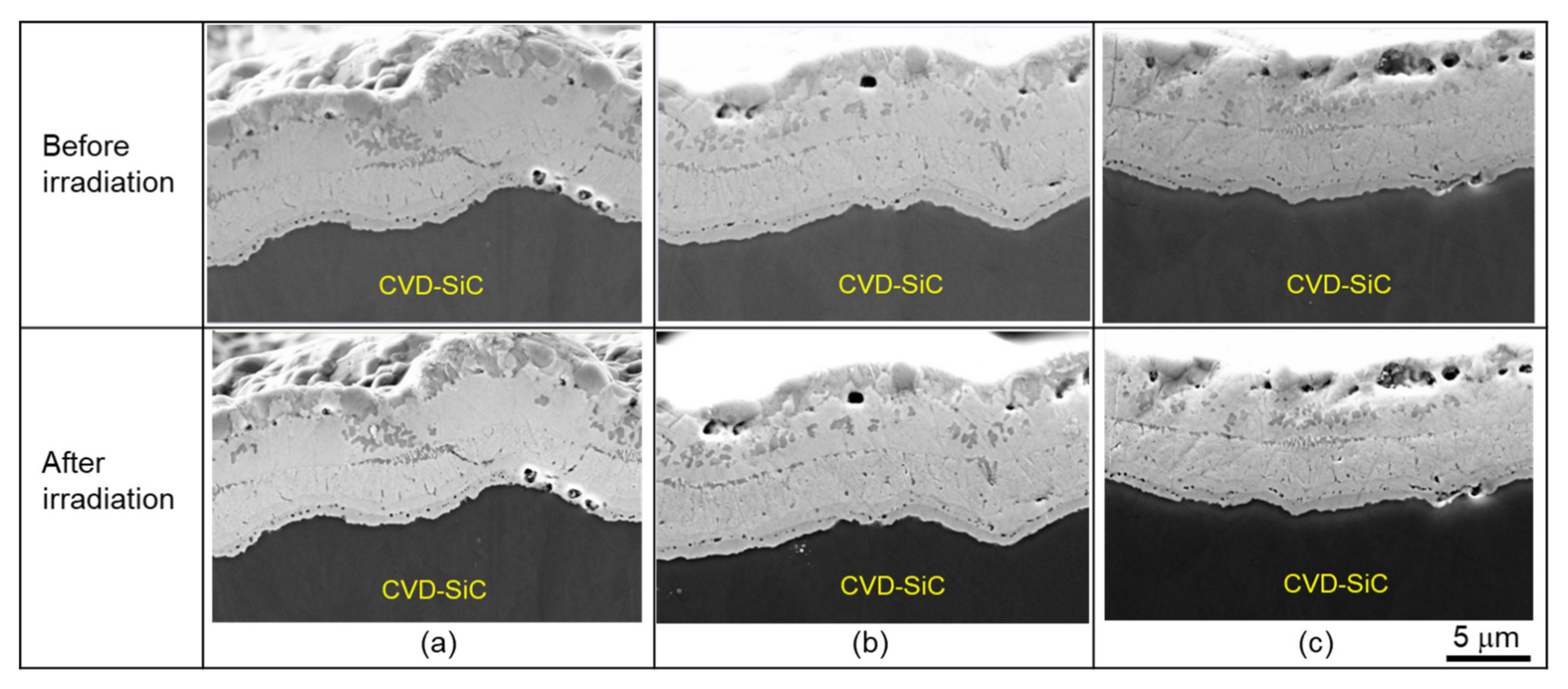 Coatings 12 00832 g006