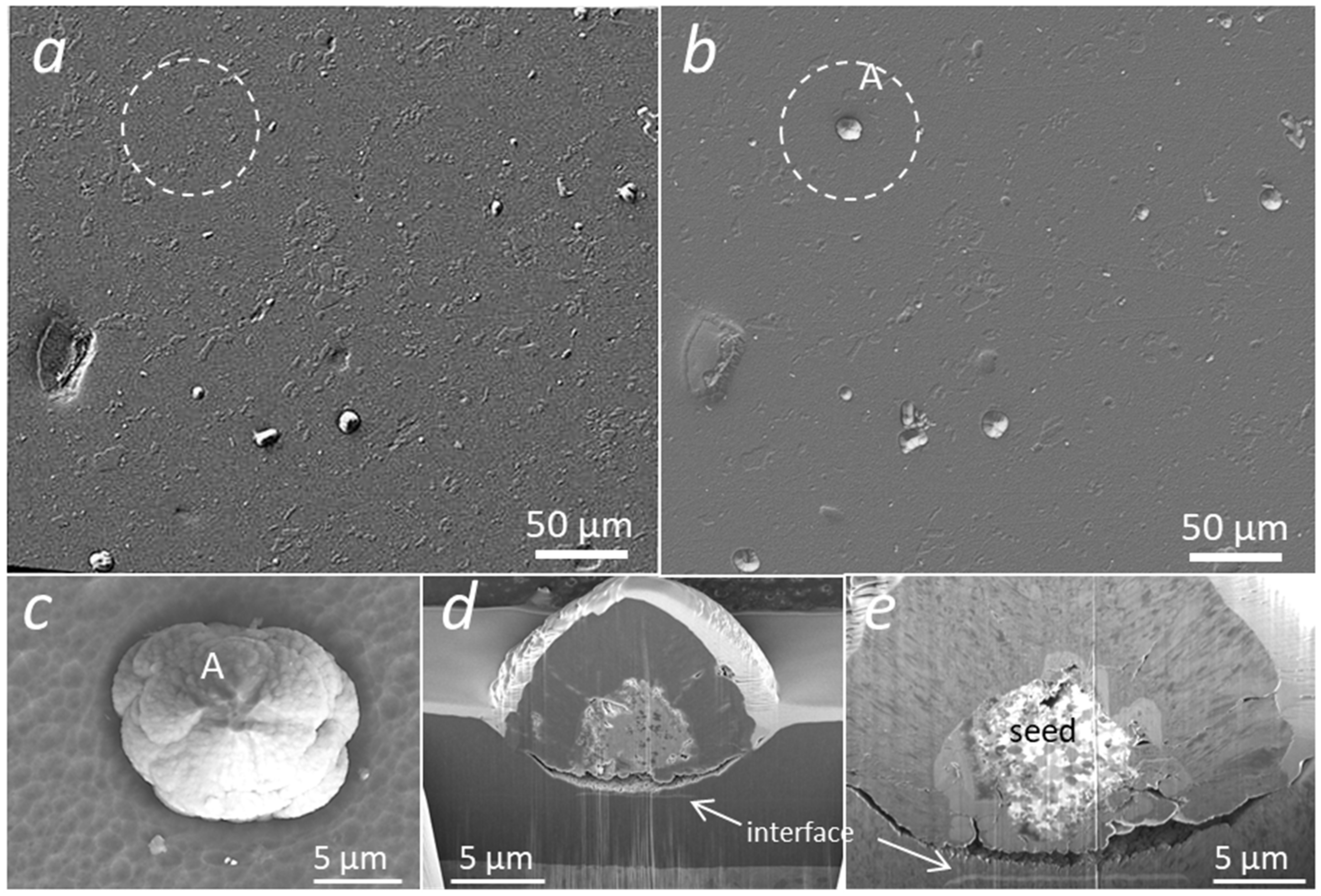 Coatings 12 00846 g002
