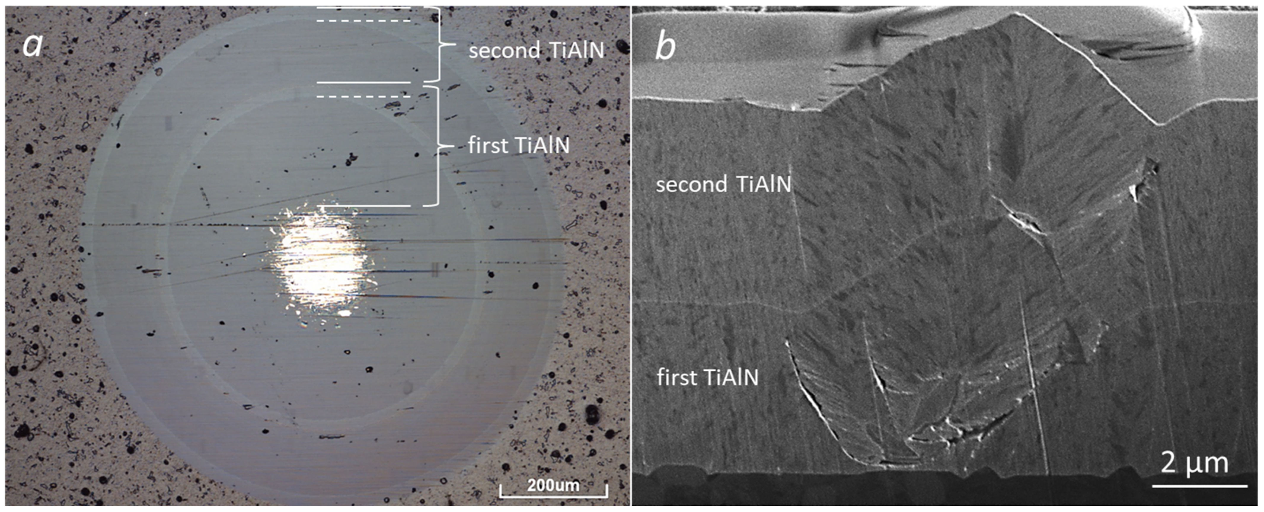 Coatings 12 00846 g003