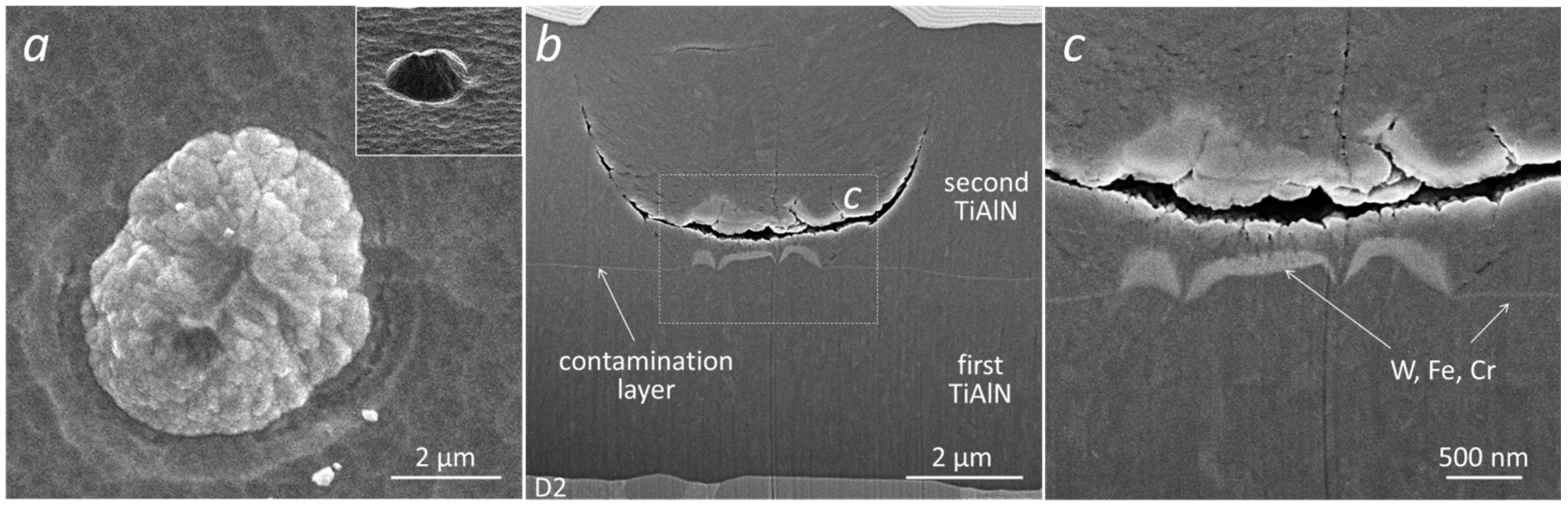 Coatings 12 00846 g007