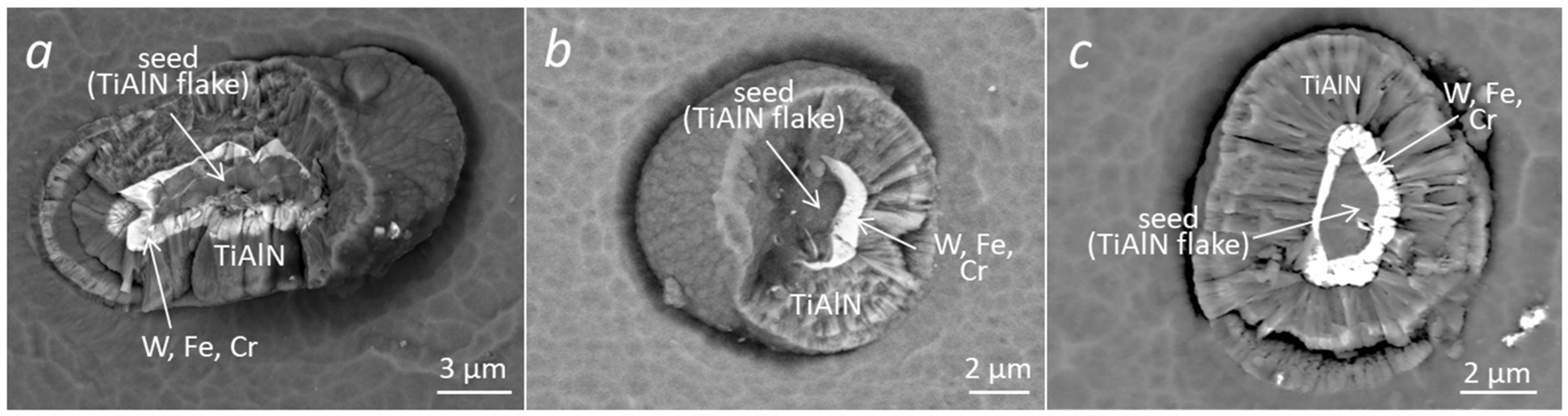 Coatings 12 00846 g010