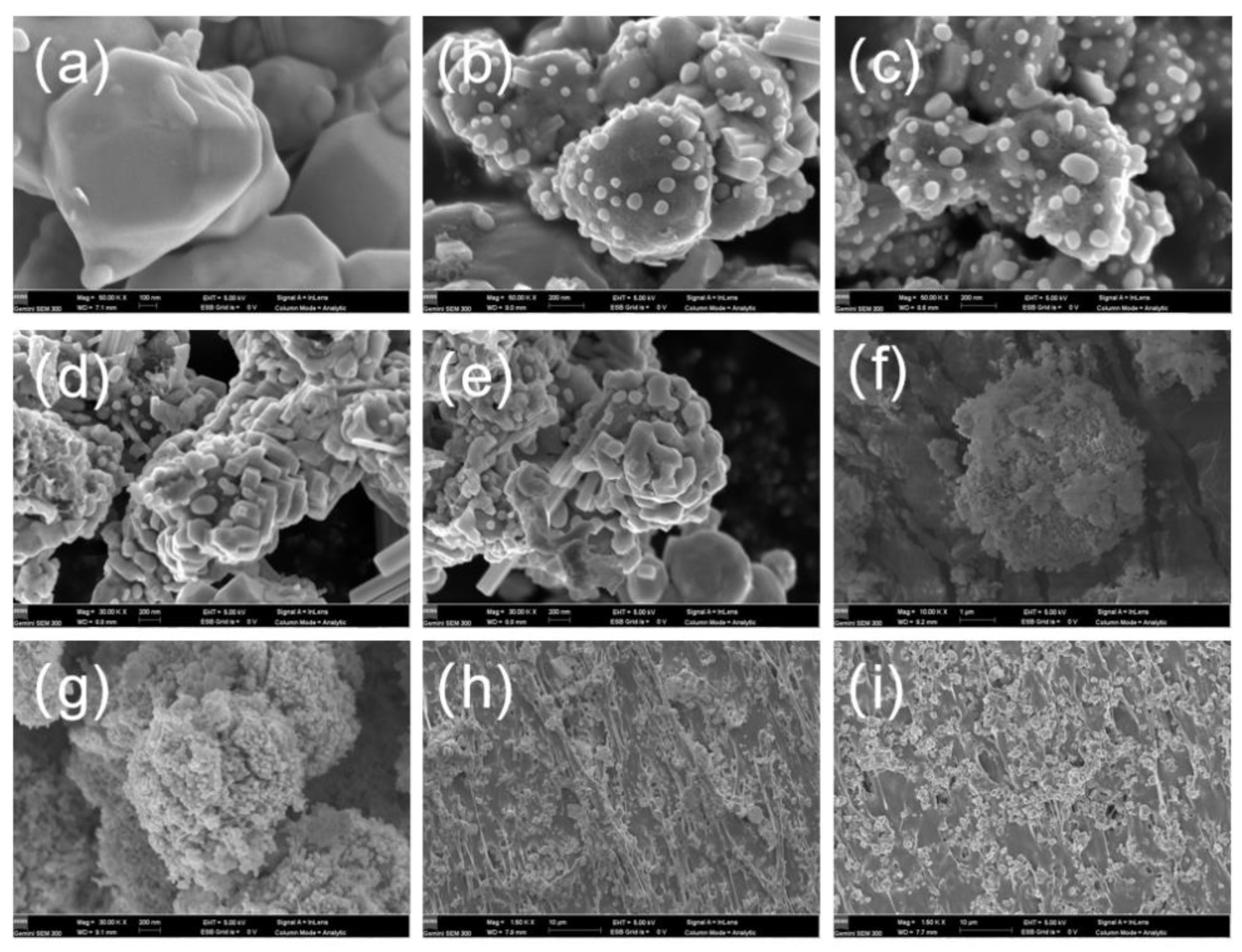 Coatings 12 00851 g004