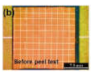 Coatings 12 00854 i007