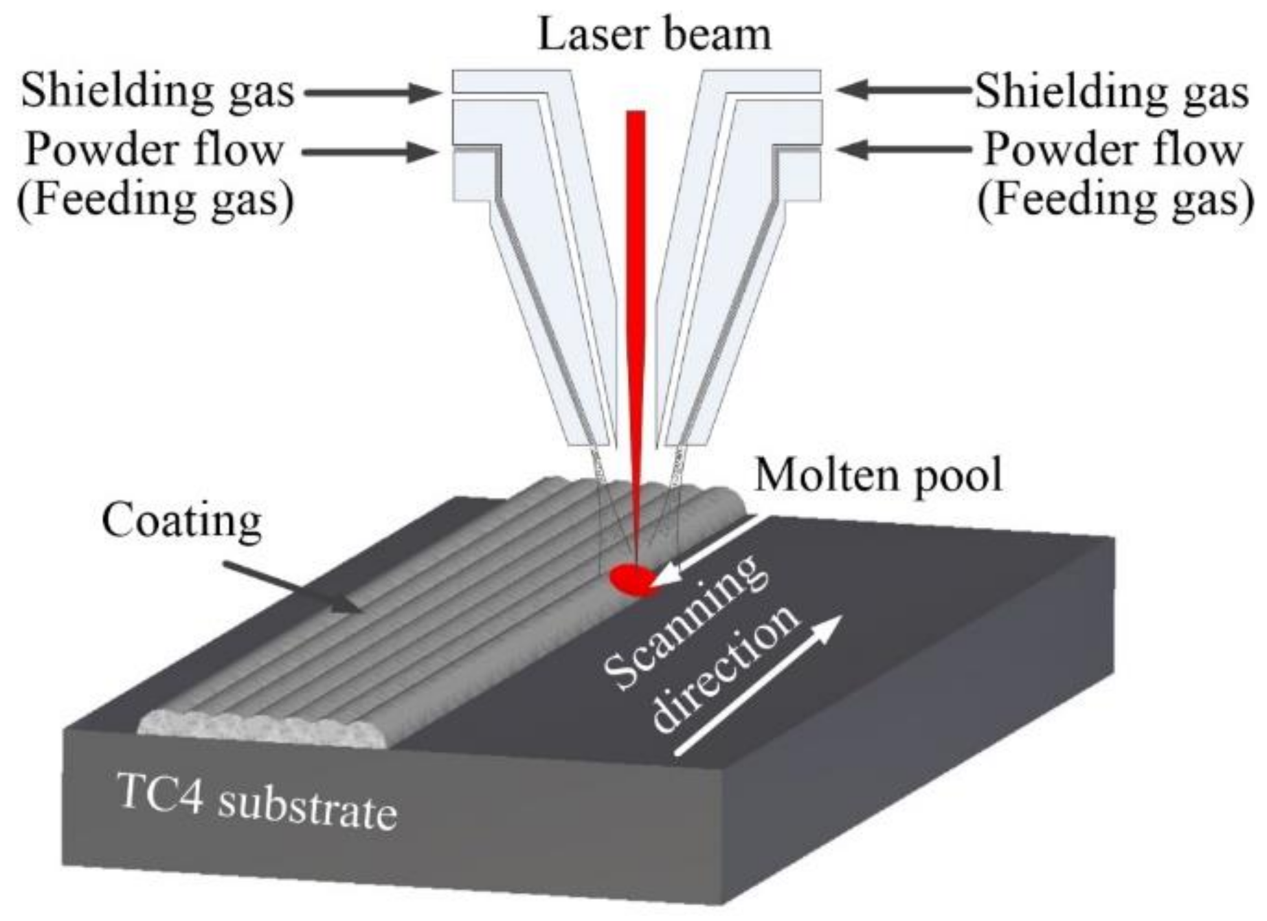Coatings 12 00876 g002