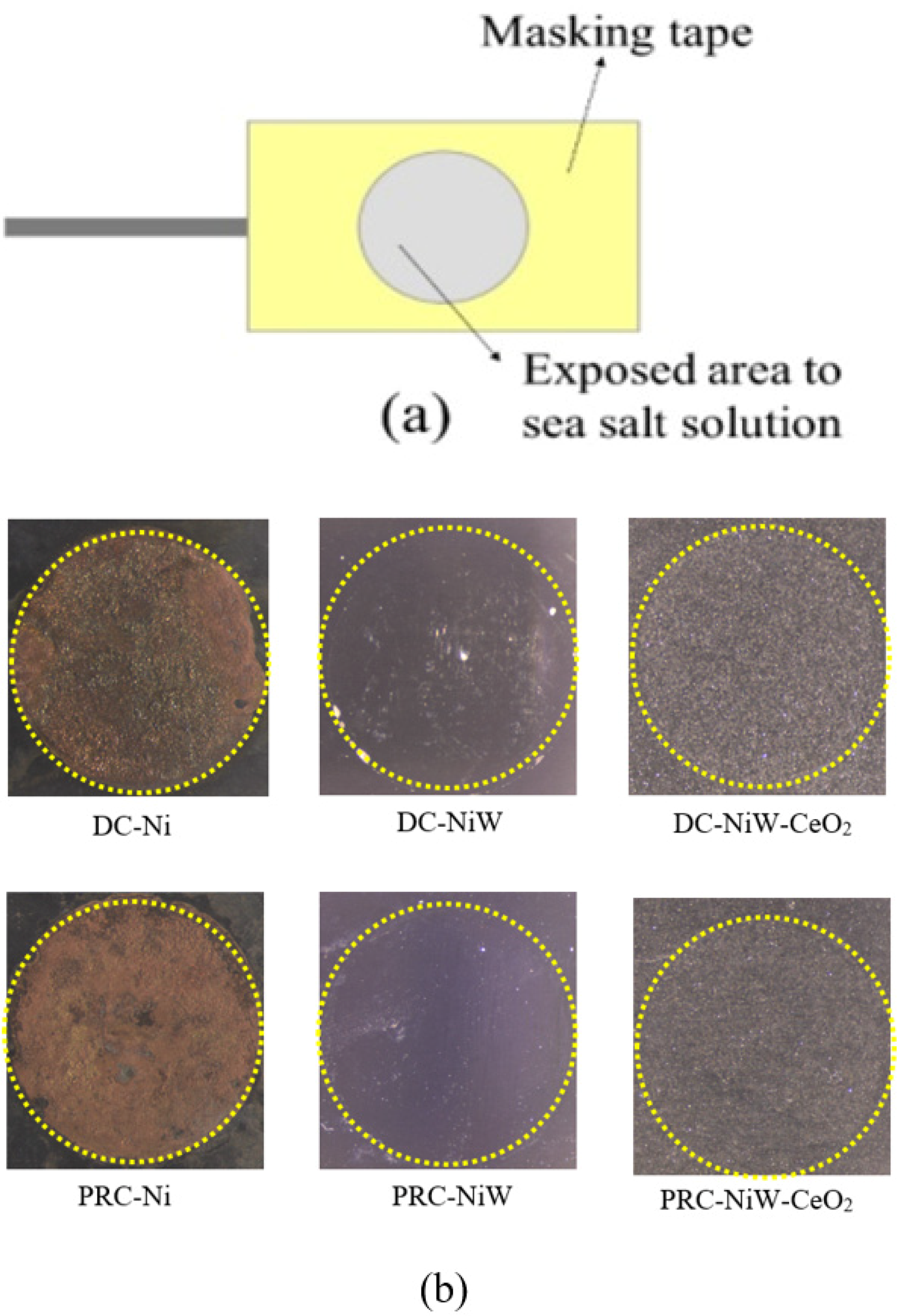 Coatings 12 00878 g007