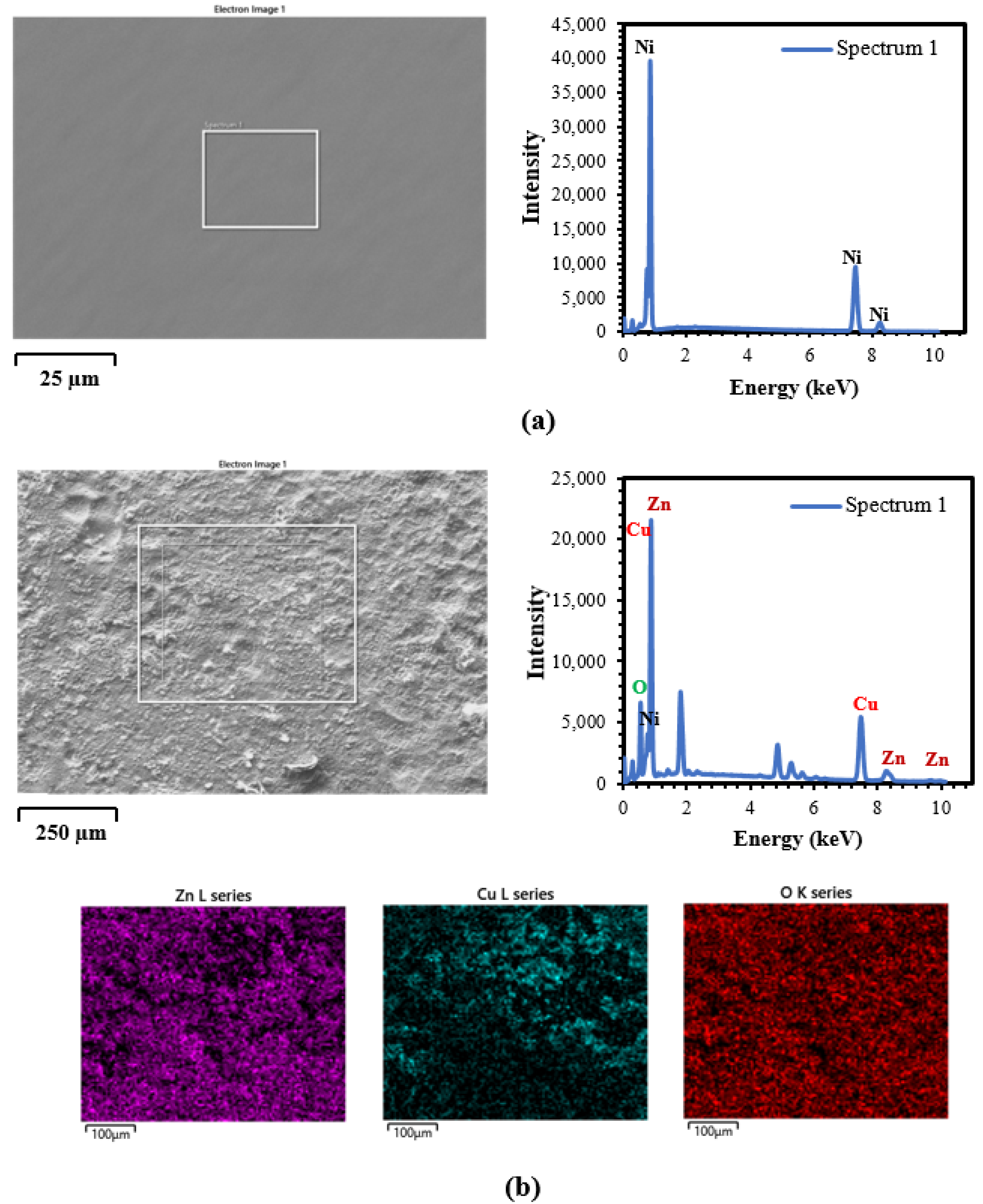 Coatings 12 00878 g009