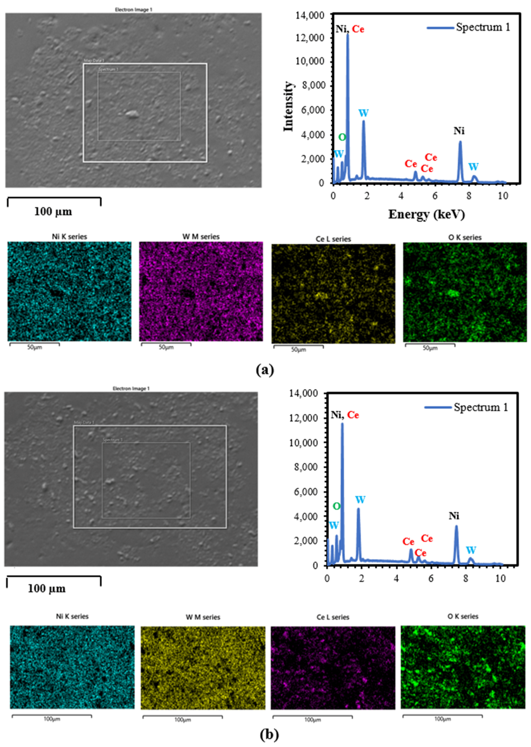 Coatings 12 00878 g013