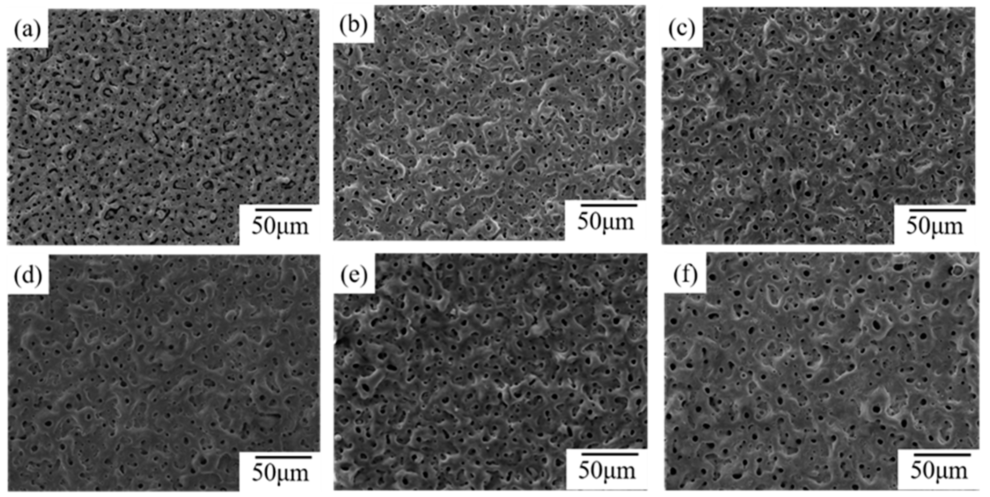 Coatings 12 00883 g001