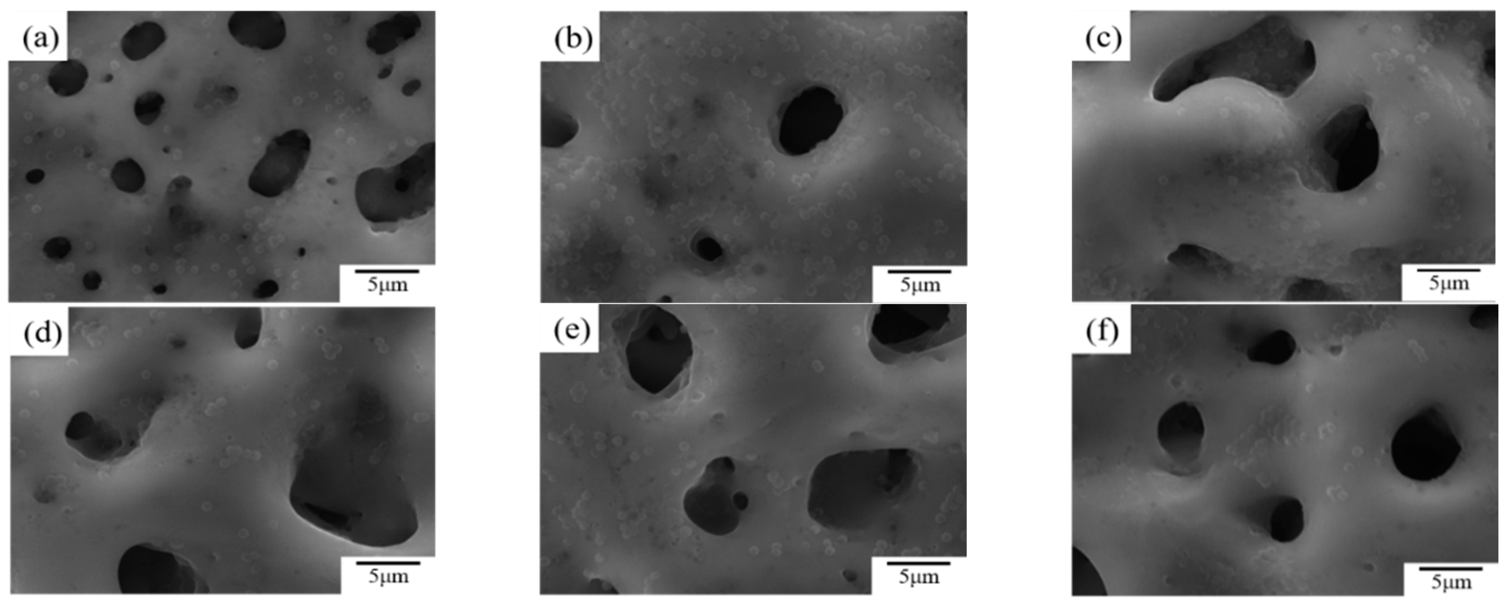 Coatings 12 00883 g007
