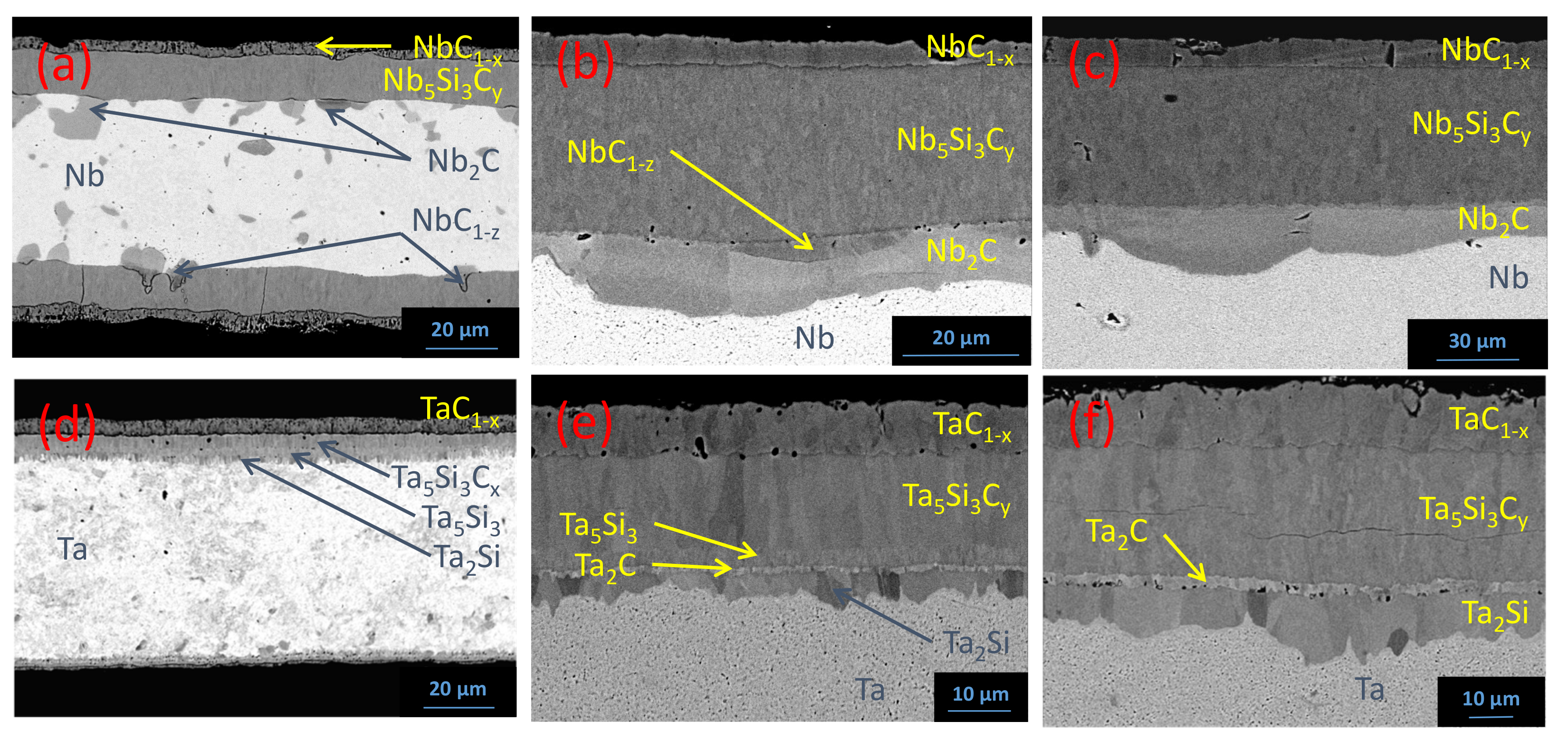 Coatings 12 00887 g012