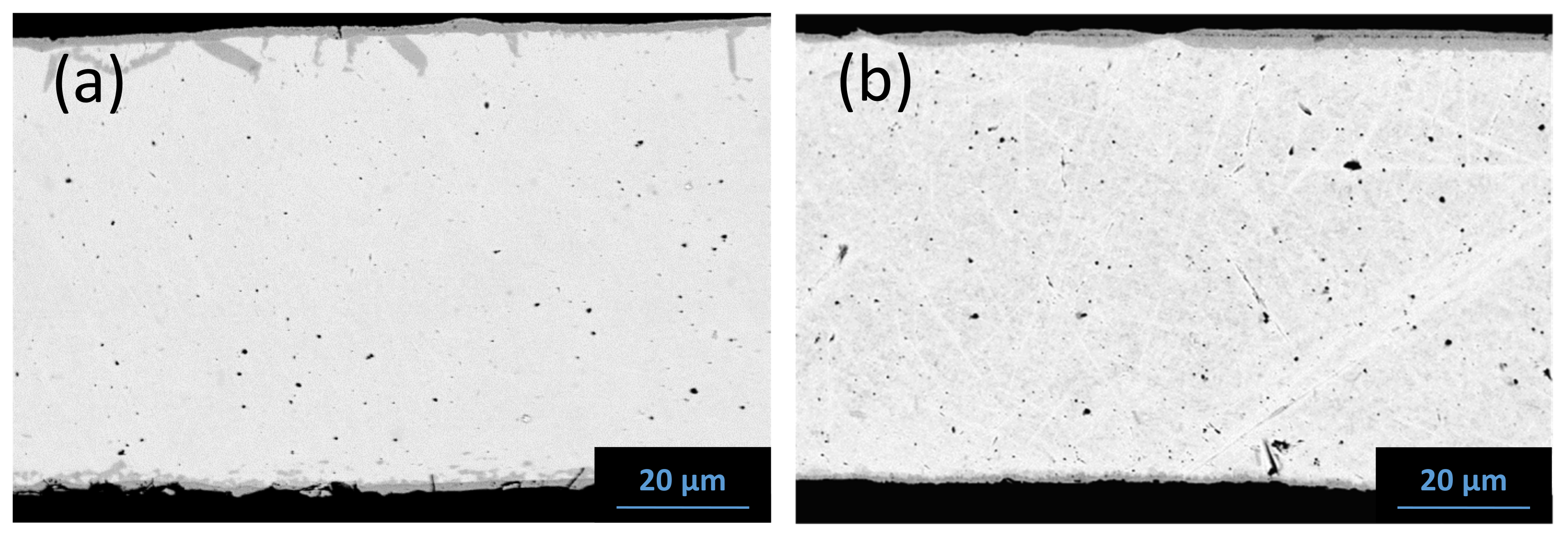 Coatings 12 00887 g015