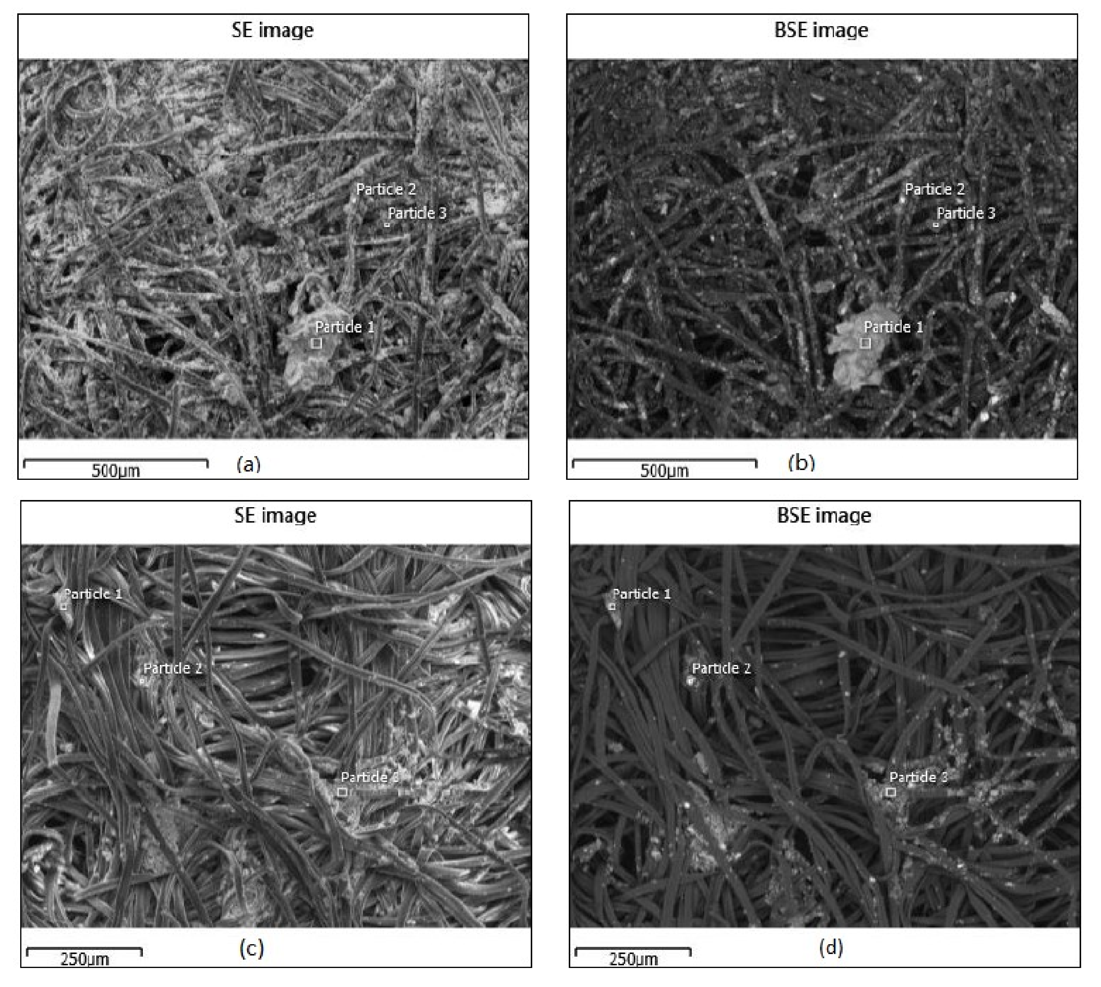 Coatings 12 00894 g004