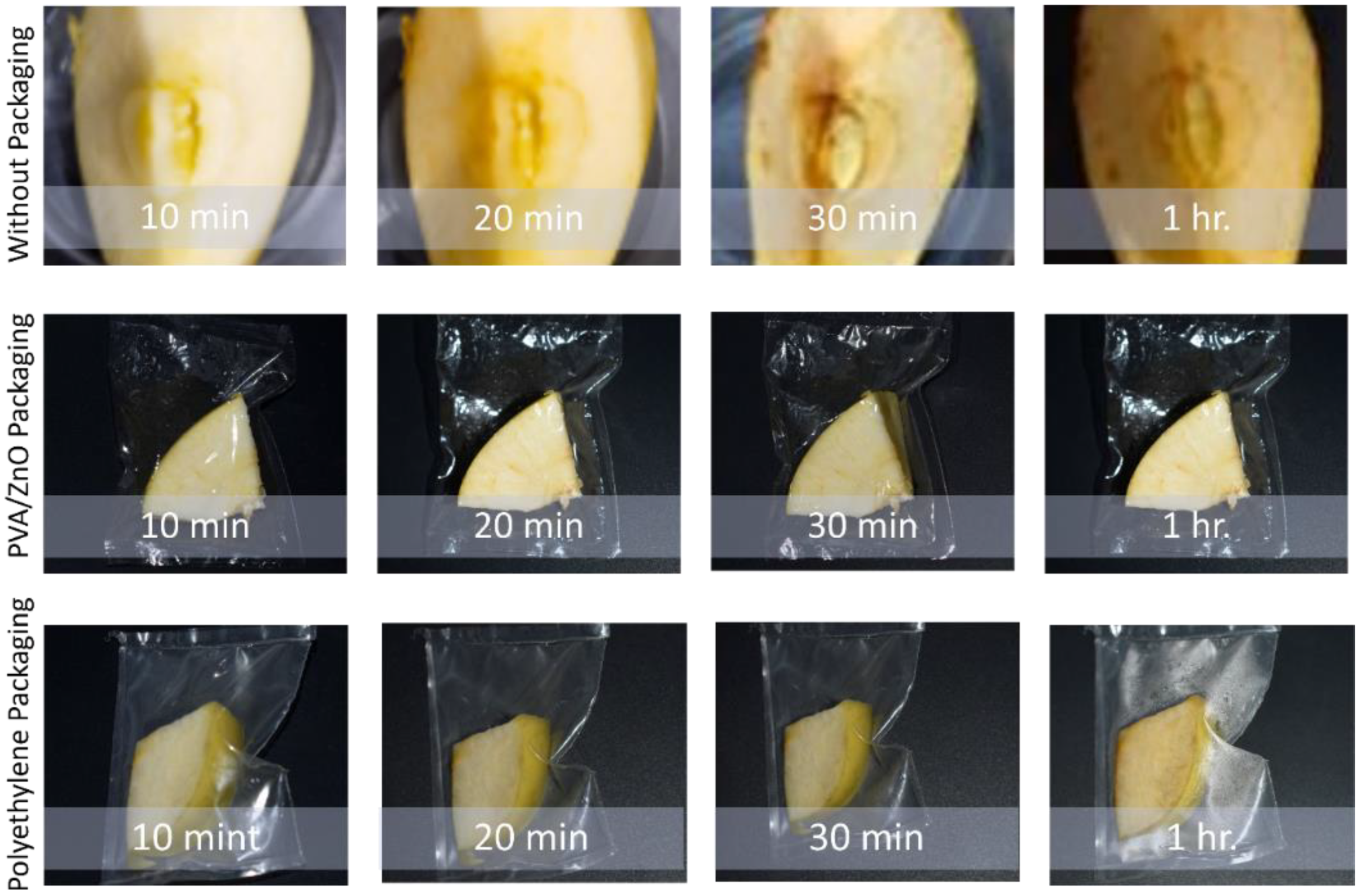 Coatings 12 00897 g013