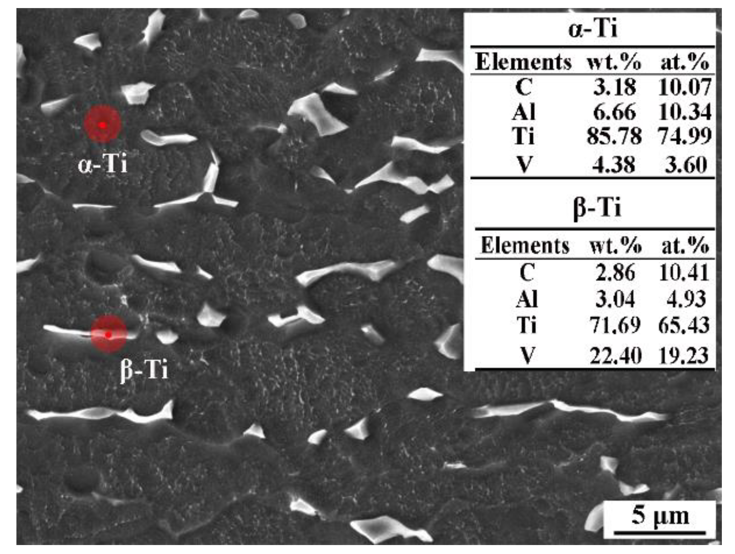 Coatings 12 00906 g001
