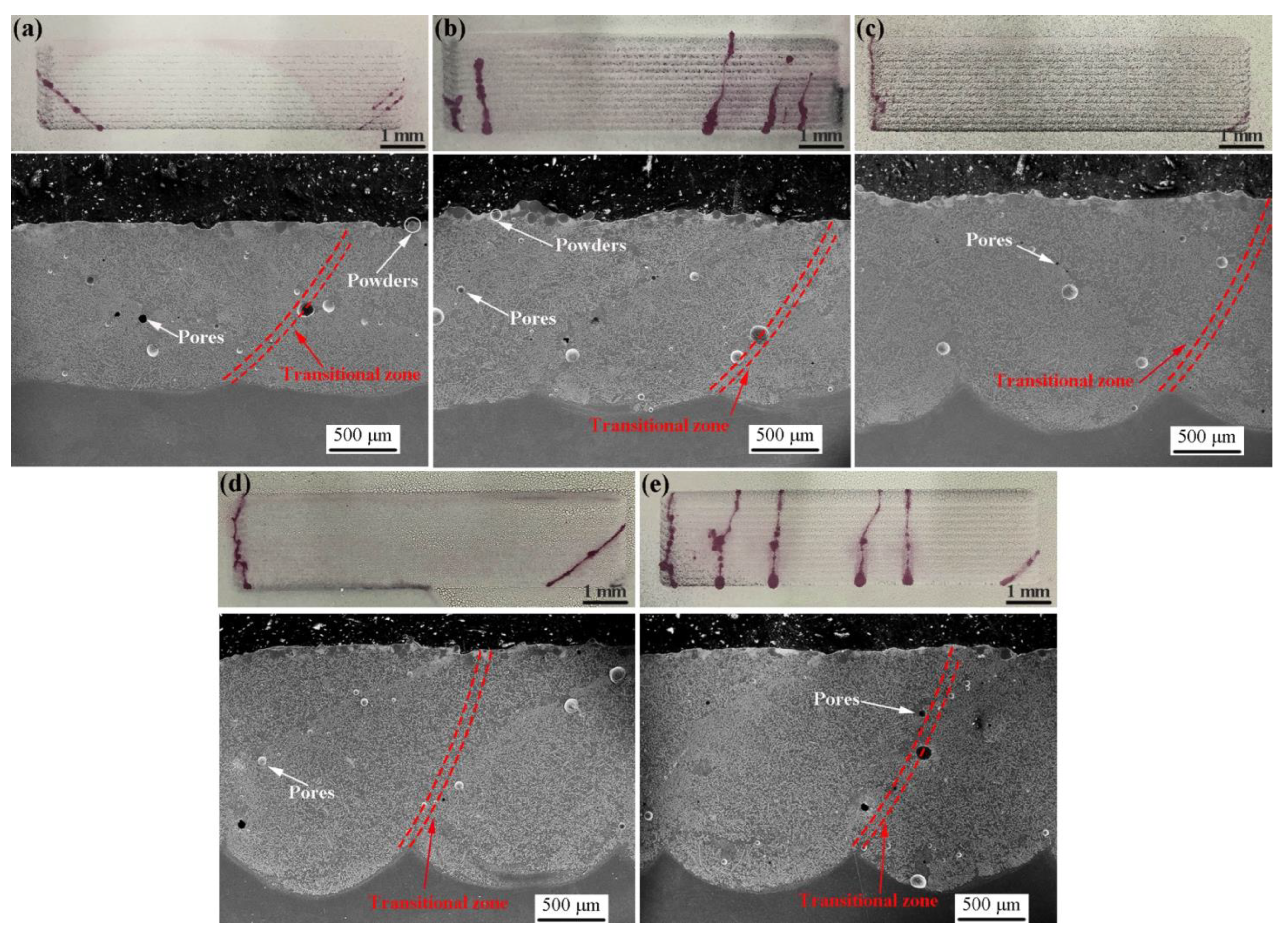 Coatings 12 00906 g002