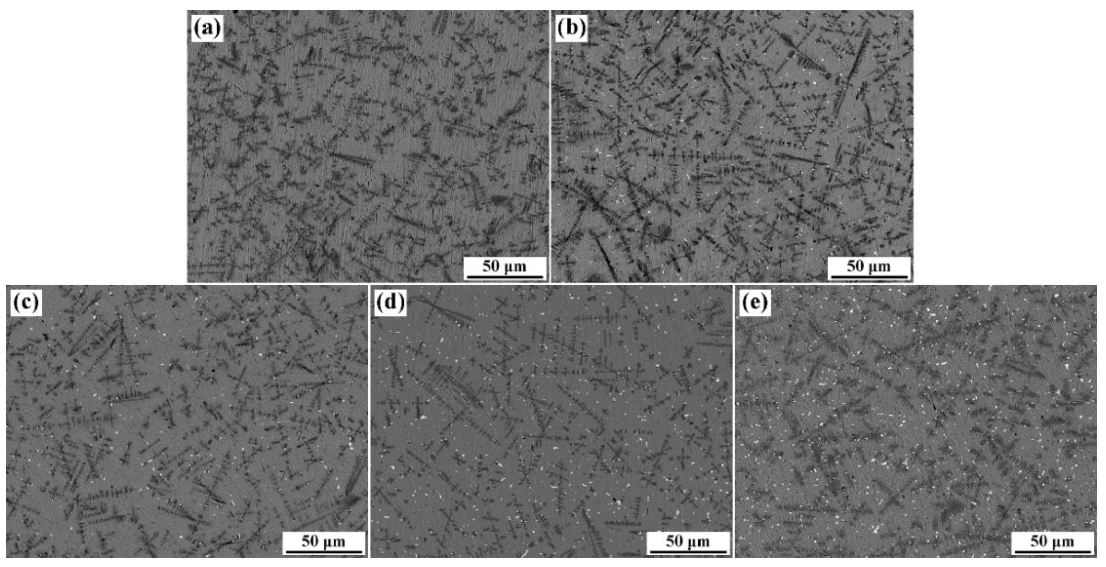 Coatings 12 00906 g005