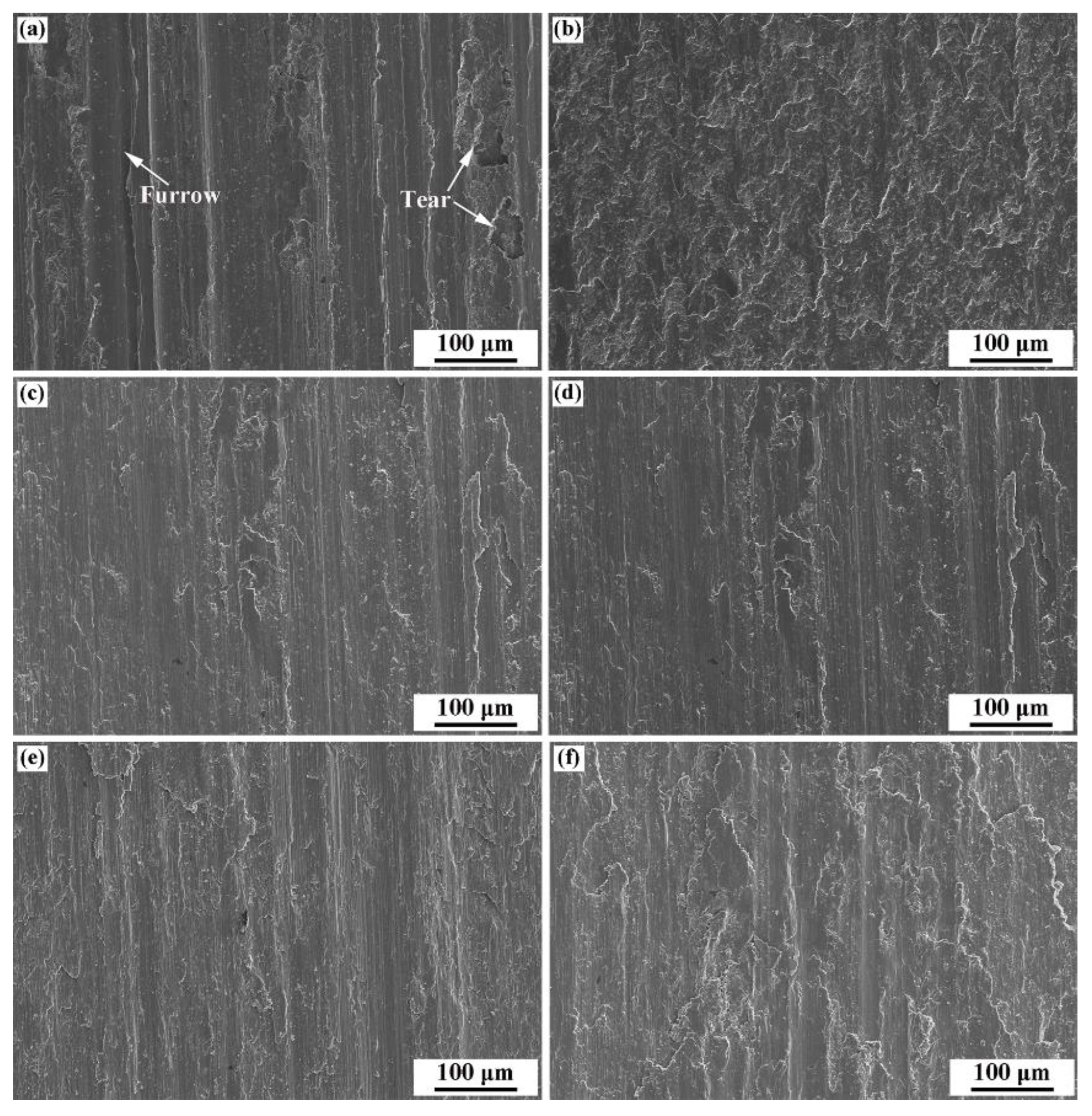 Coatings 12 00906 g011