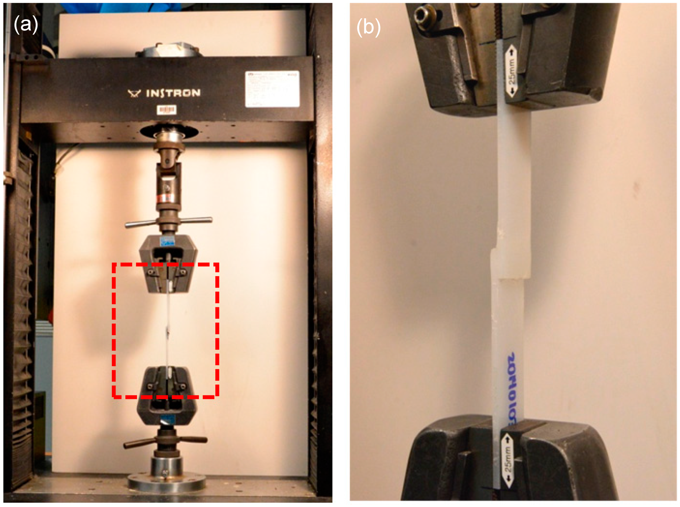 Coatings 12 00919 g005