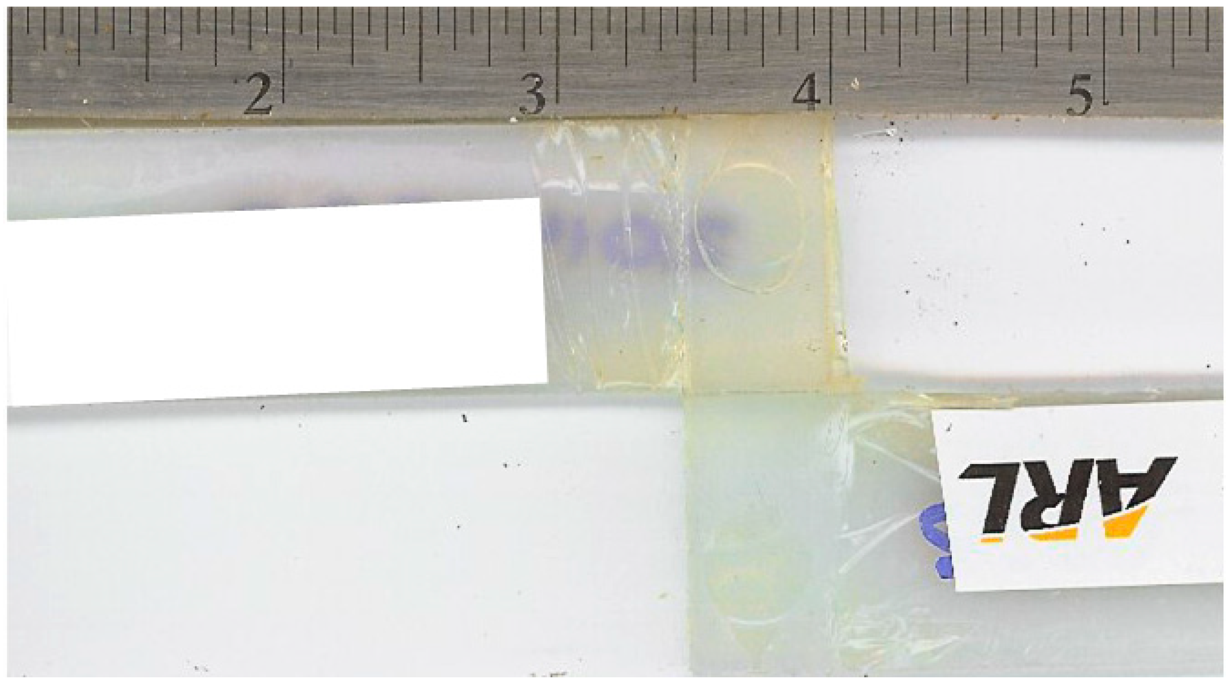 Coatings 12 00919 g013