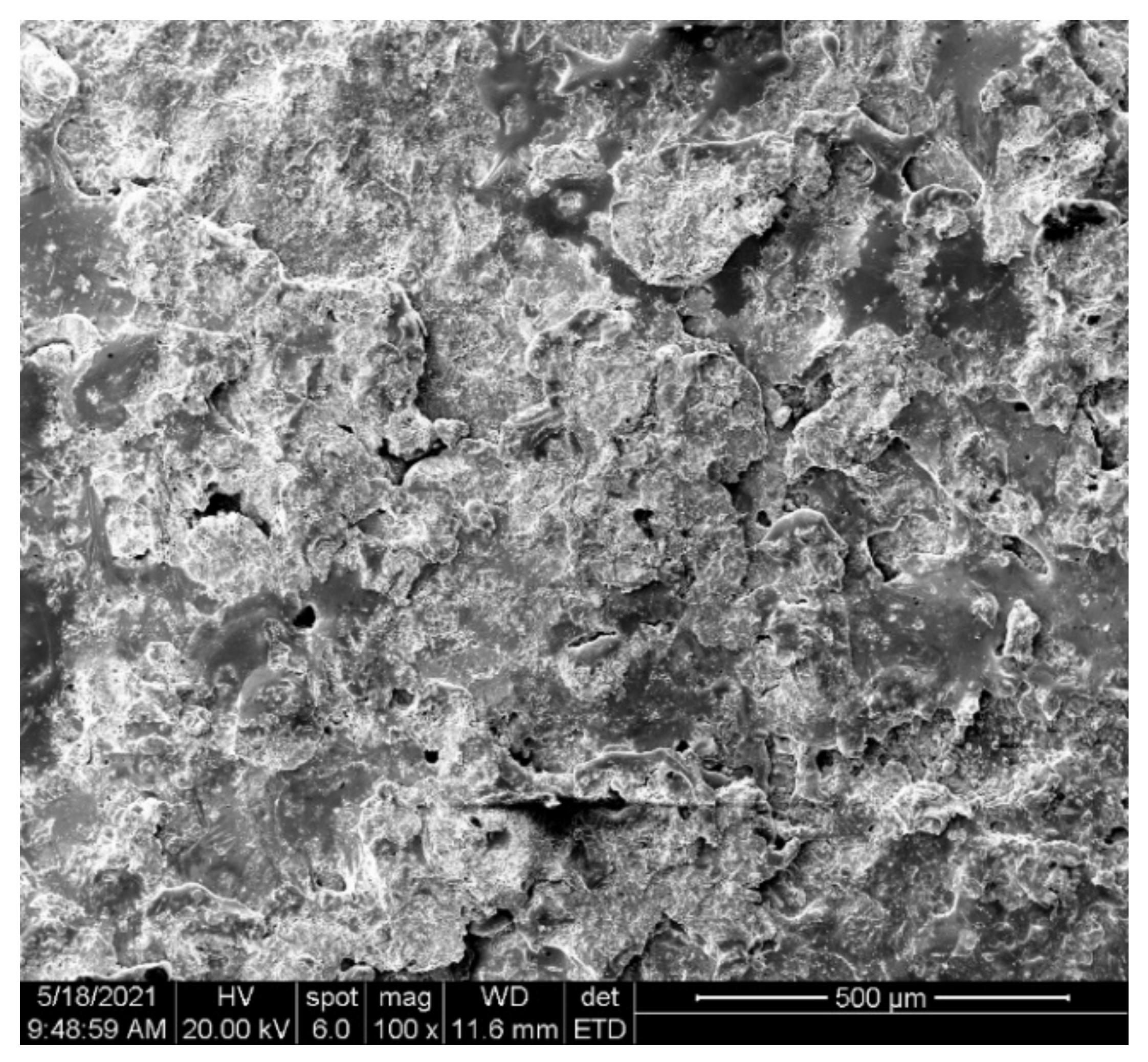 Coatings 12 00930 g002